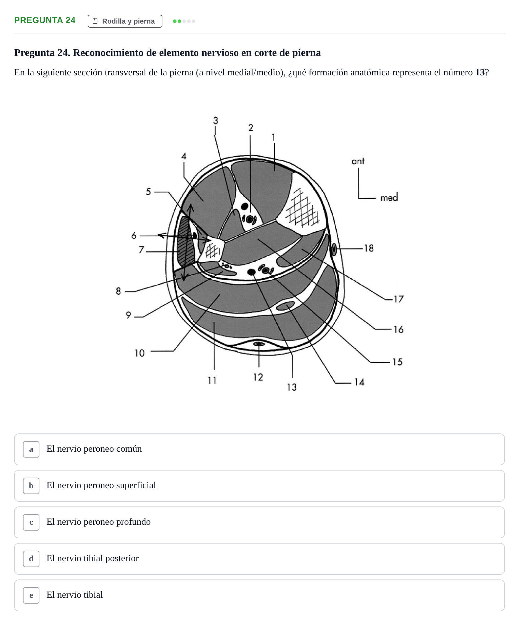 Enunciado: Pregunta 24 · Anatomía General y del Aparato Locomotor URV 2020