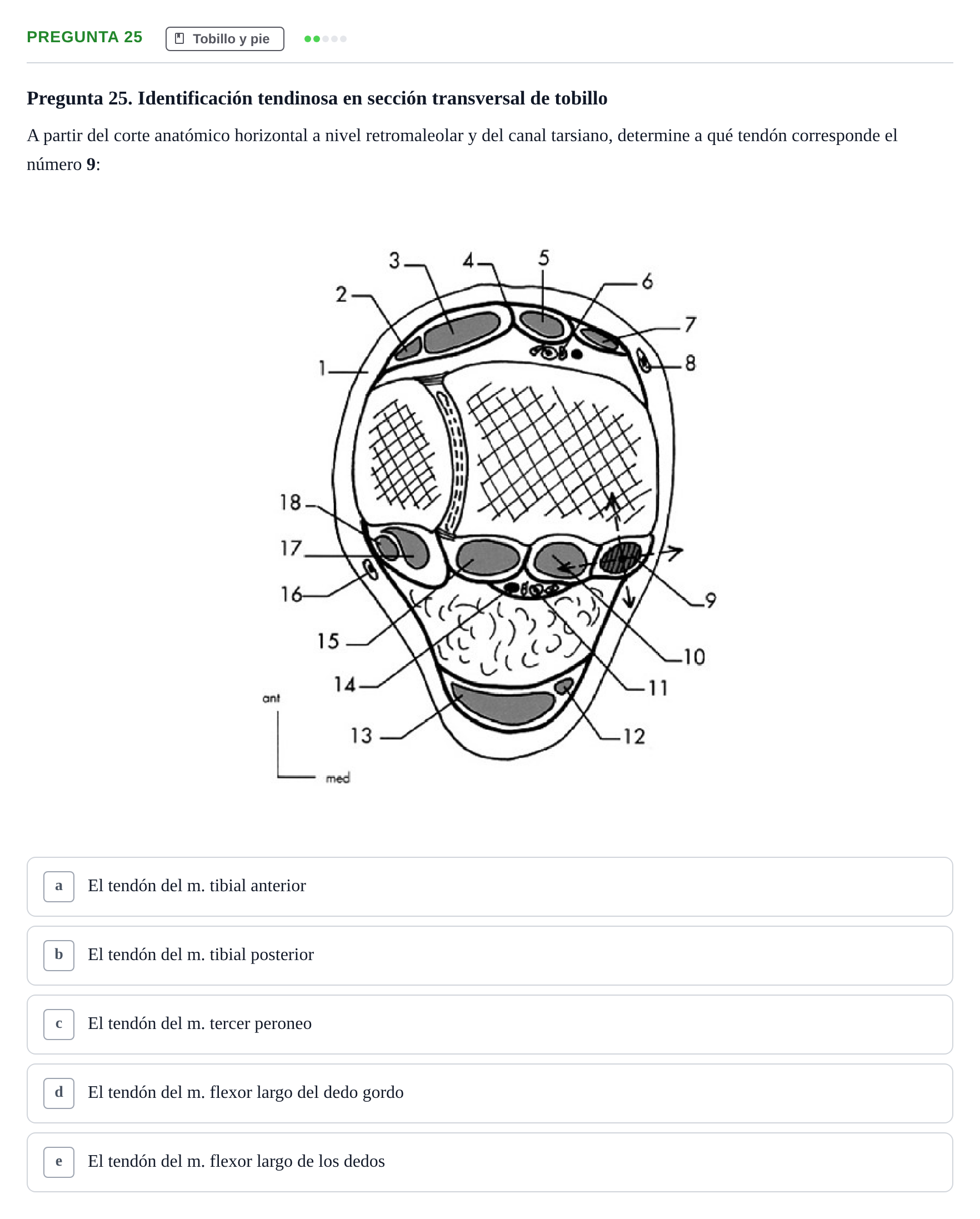 Enunciado: Pregunta 25 · Anatomía General y del Aparato Locomotor URV 2020