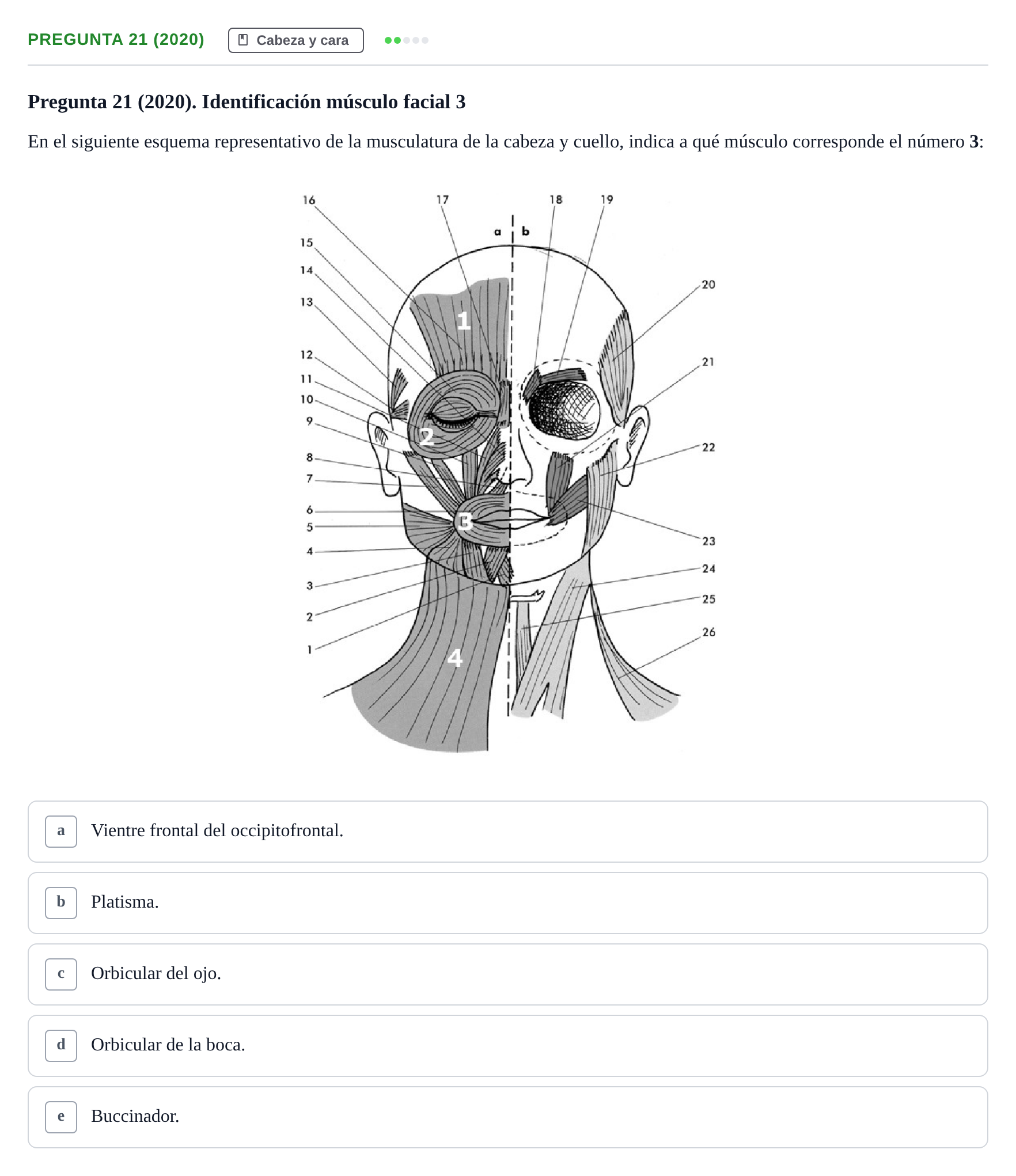 Enunciado: Pregunta 21 (2020) · Anatomía General y del Aparato Locomotor URV 2020