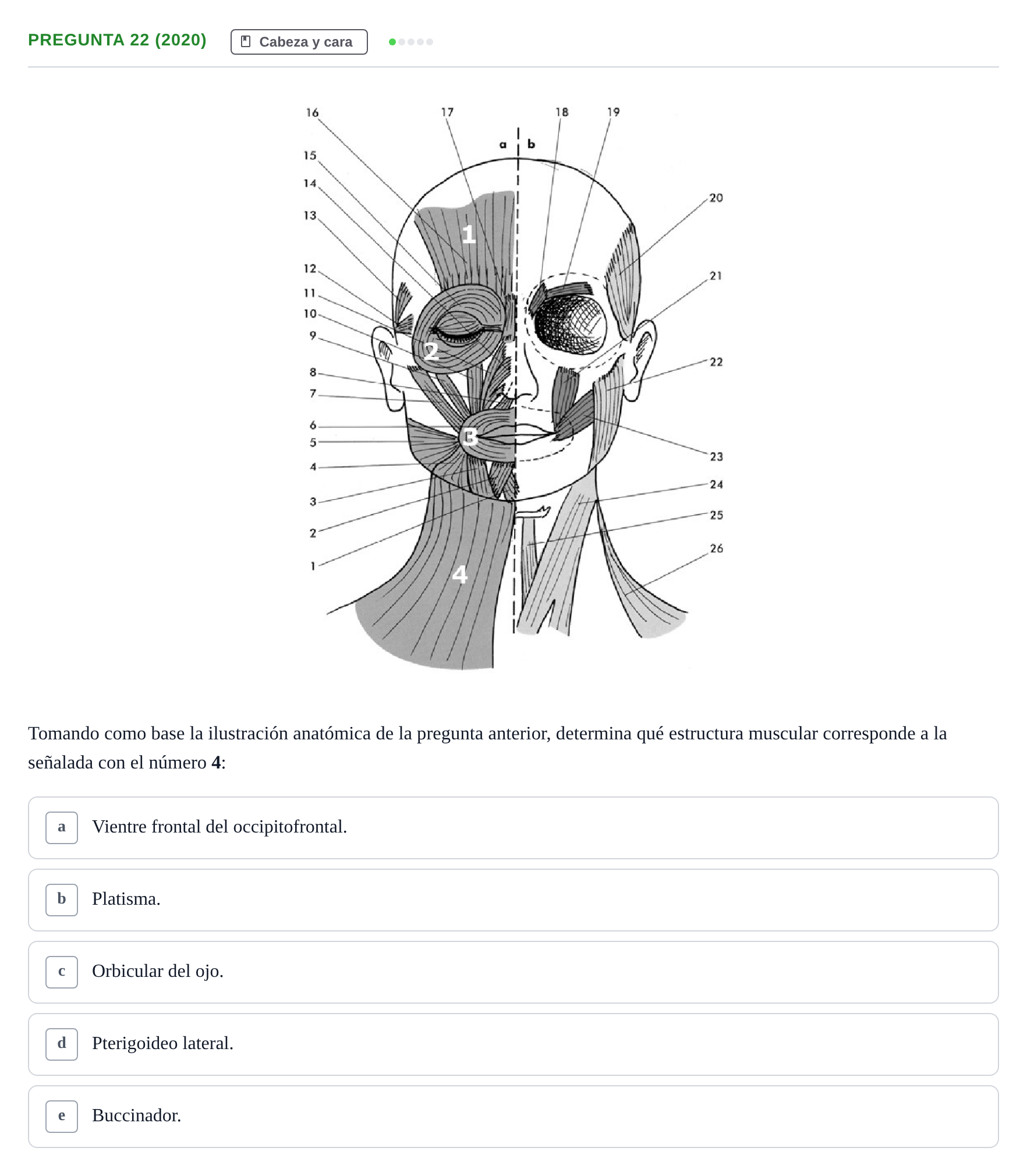 Enunciado: Pregunta 22 (2020) · Anatomía General y del Aparato Locomotor URV 2020