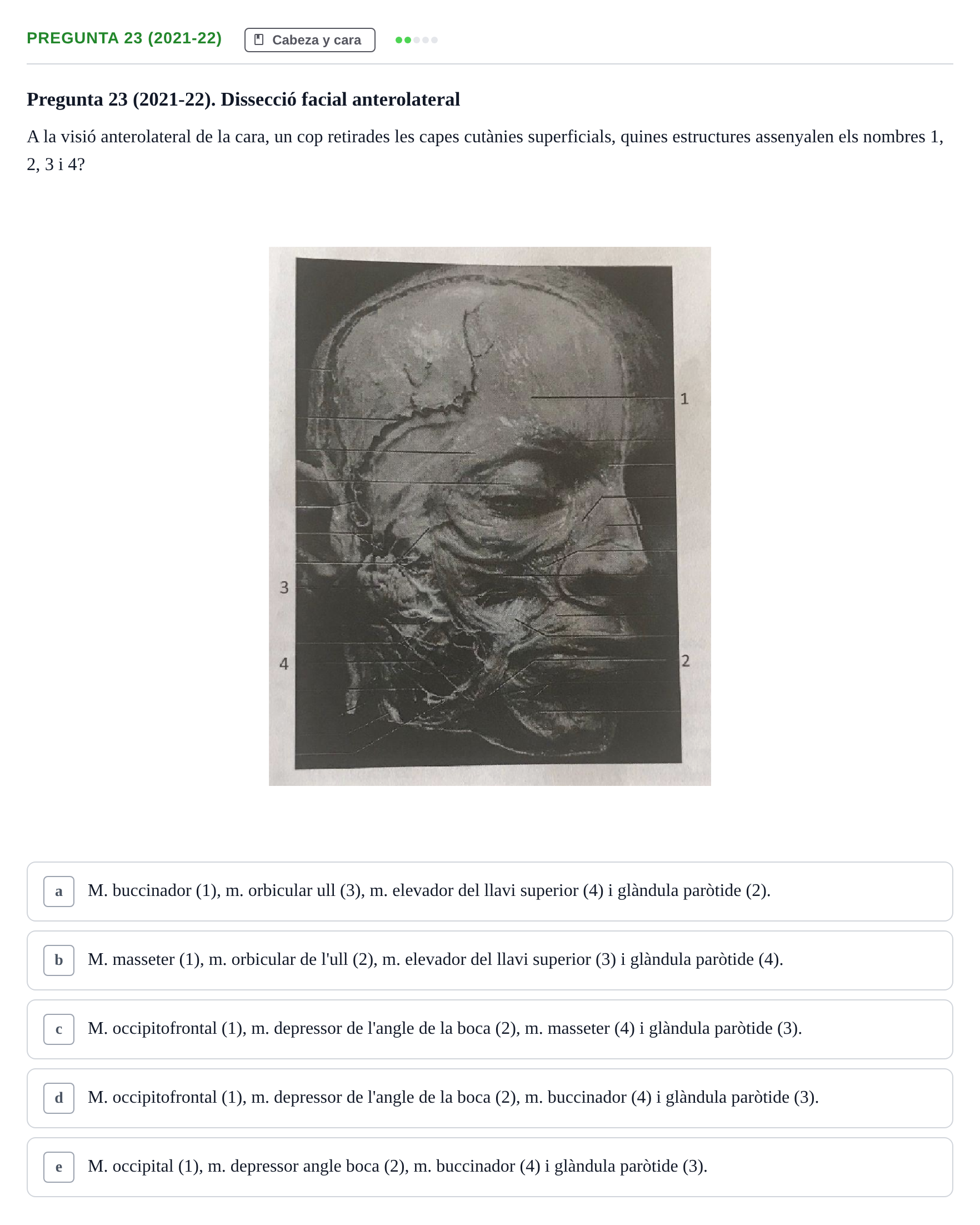 Enunciado: Pregunta 23 (2021-22) · Anatomía General y del Aparato Locomotor URV 2020