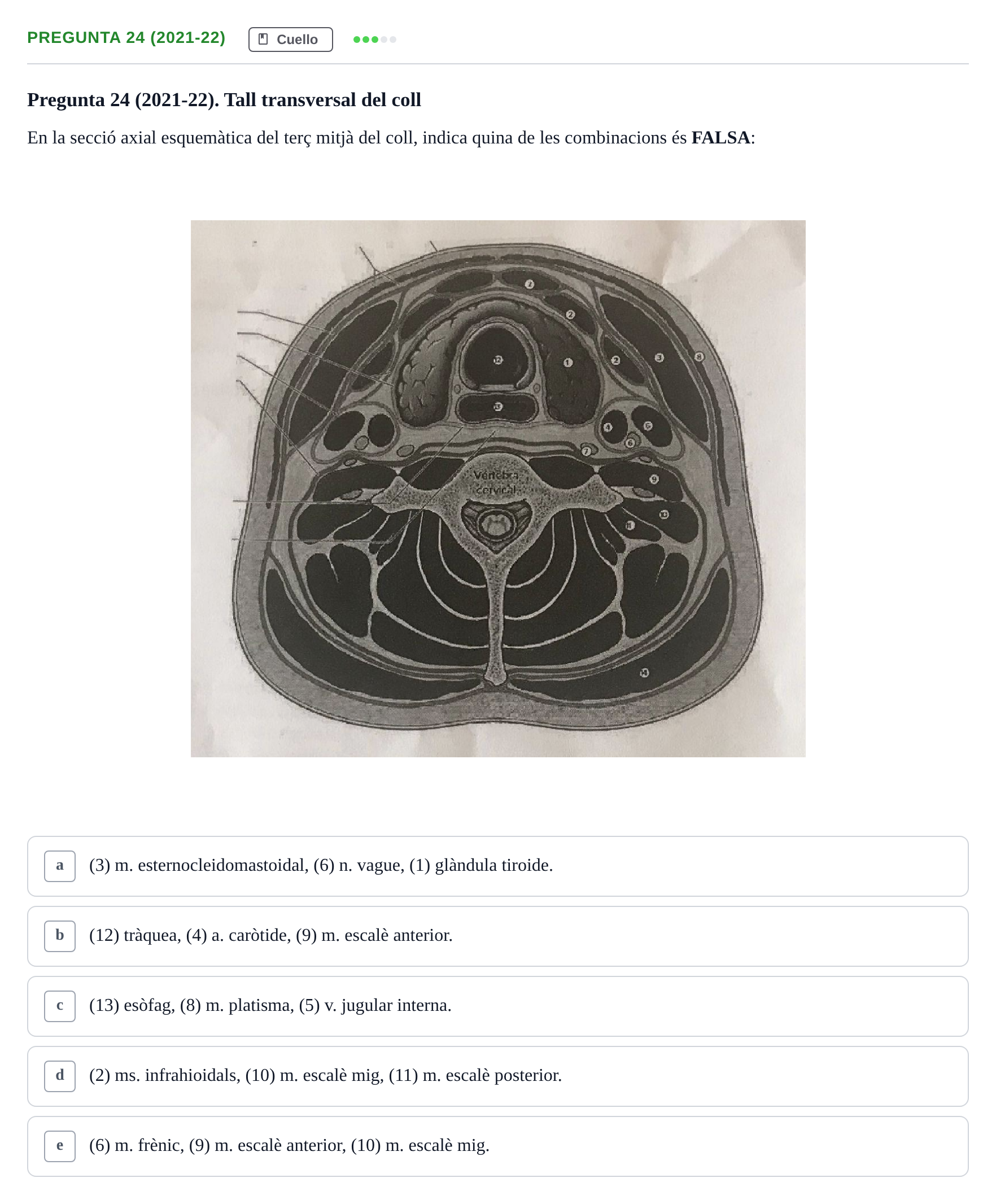 Enunciado: Pregunta 24 (2021-22) · Anatomía General y del Aparato Locomotor URV 2020