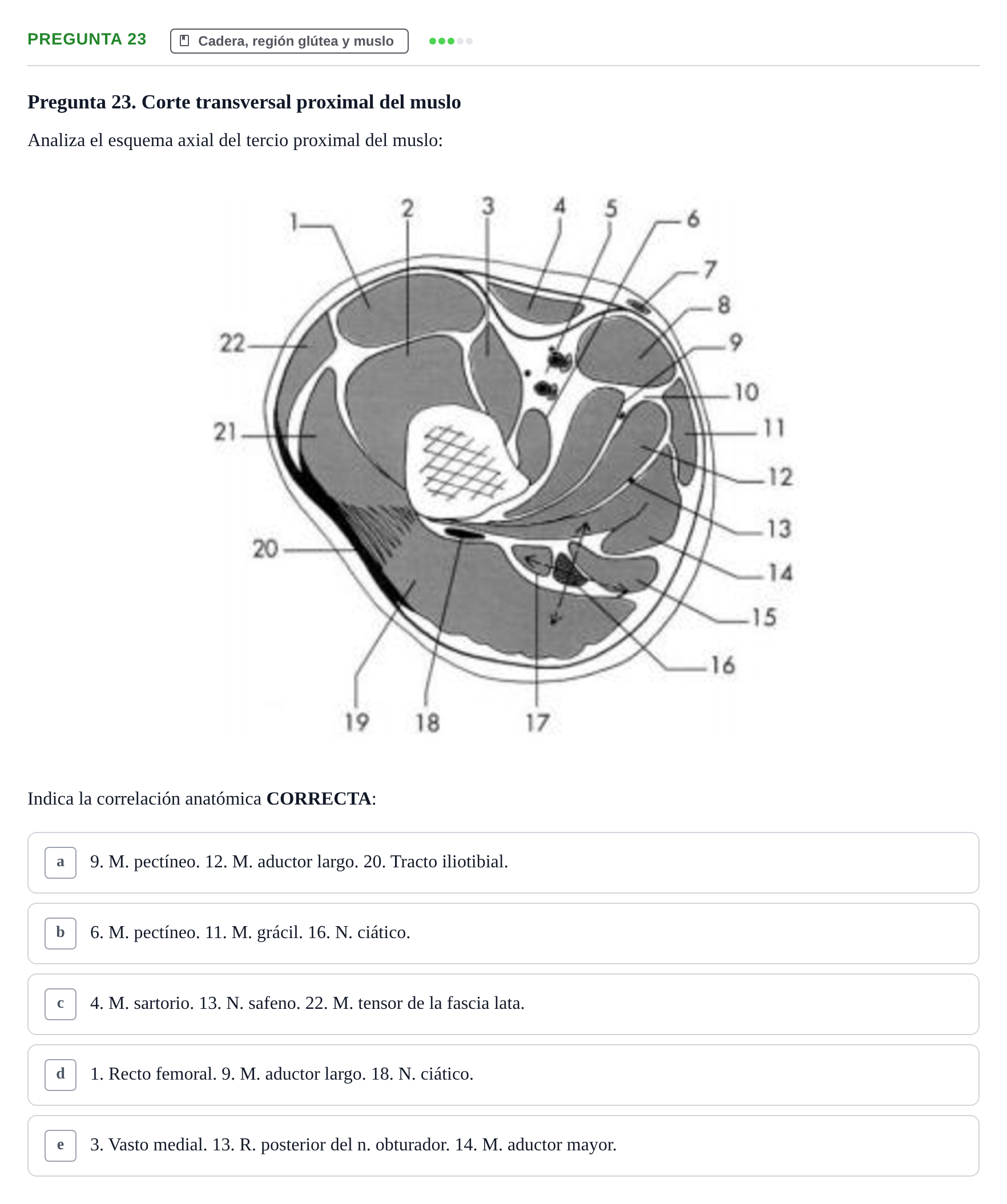 Enunciado: Pregunta 23 · Anatomía General y del Aparato Locomotor URV 2018