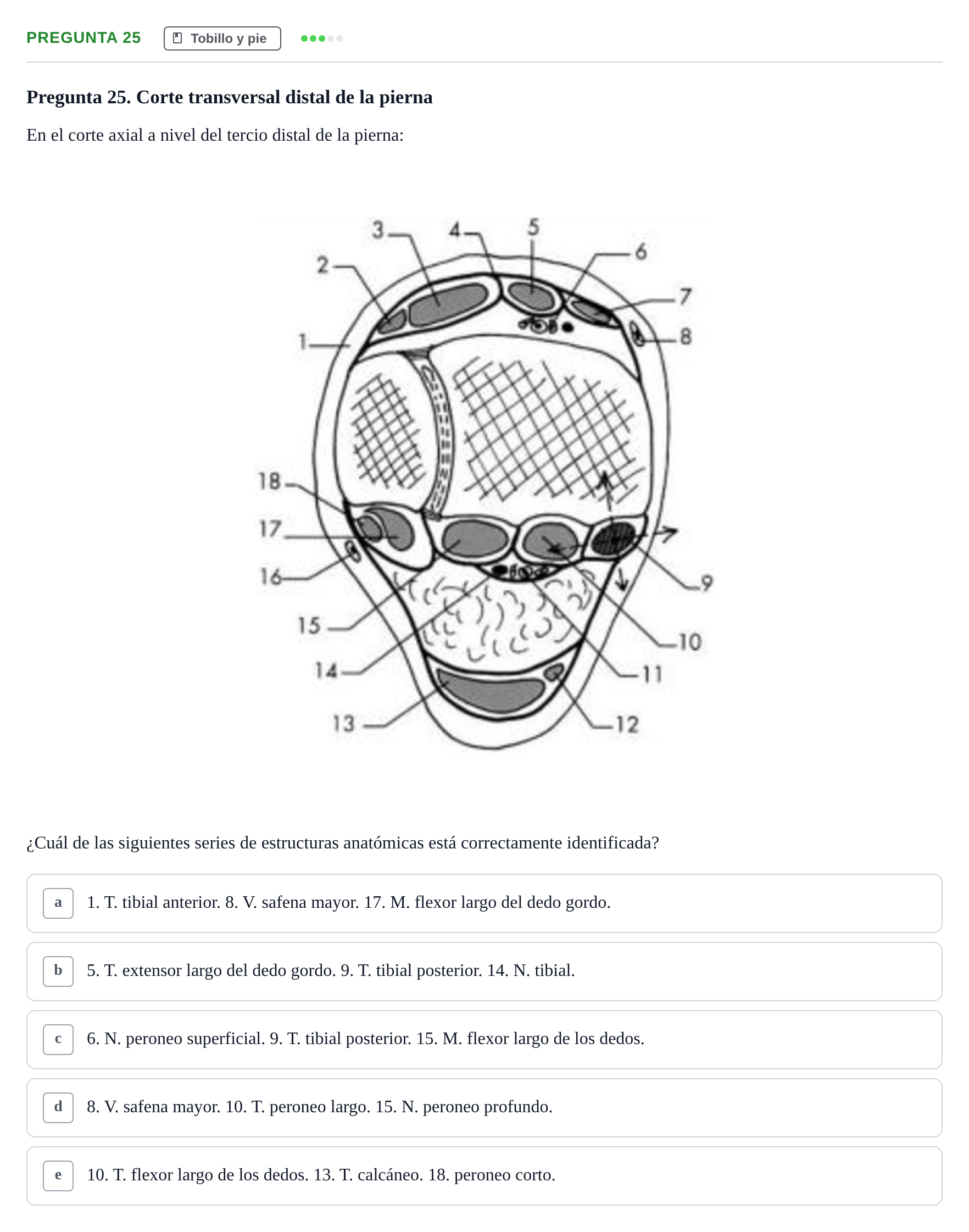 Enunciado: Pregunta 25 · Anatomía General y del Aparato Locomotor URV 2018