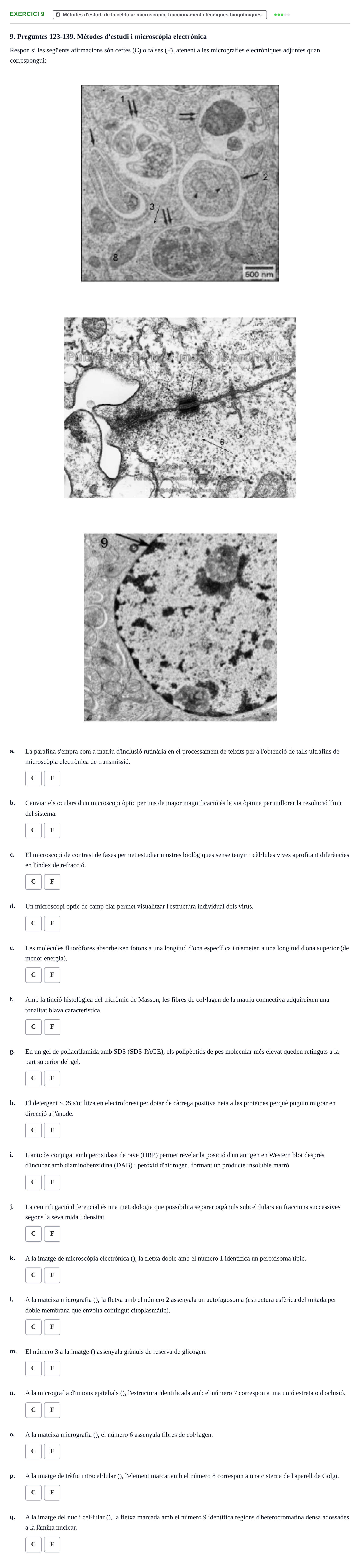 Enunciado: Ejercicio 9 - Mètodes d'estudi de la cèl·lula: microscòpia,… · Biología Celular UB 2024
