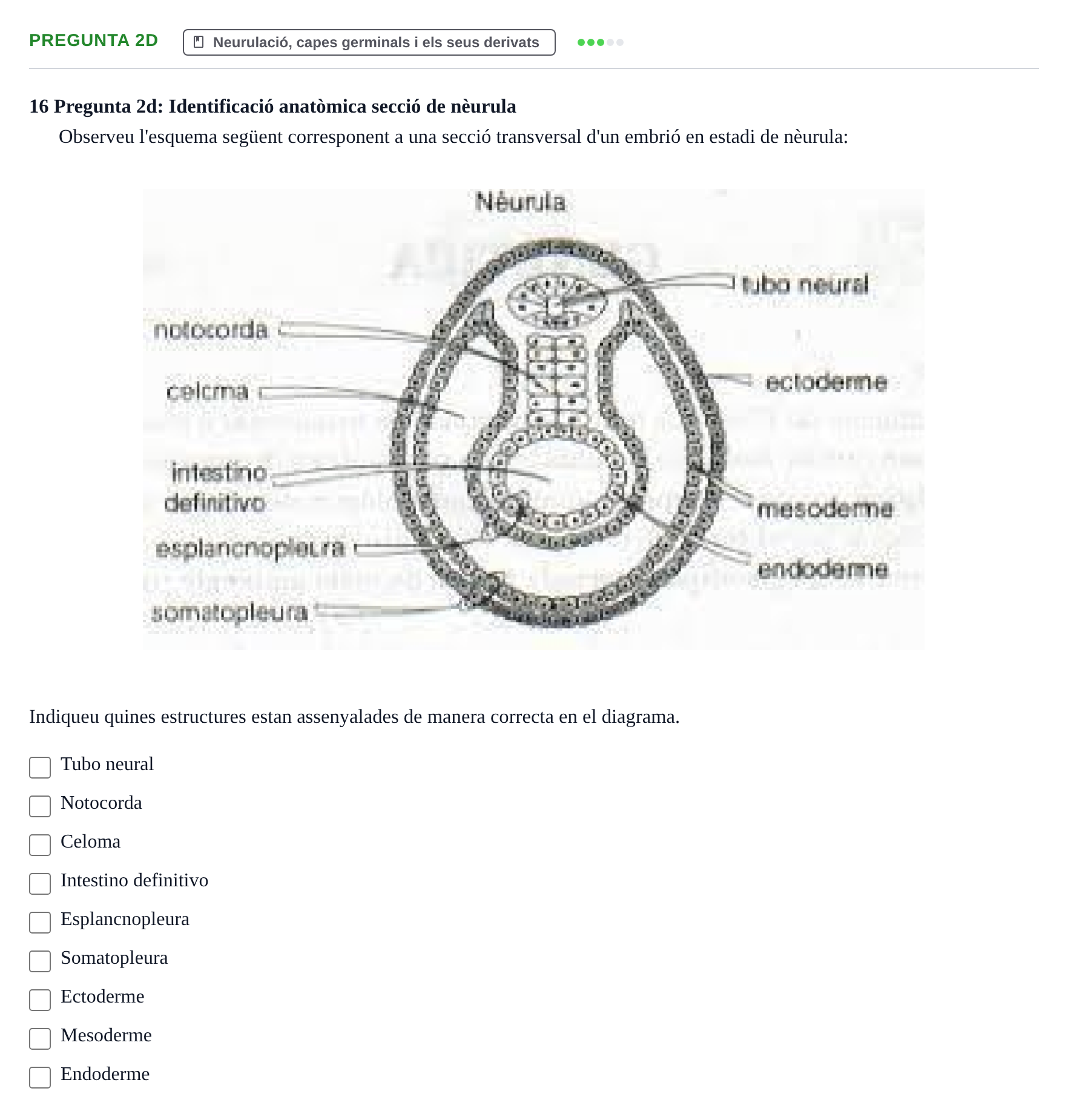 Enunciado: Pregunta 2d · Bilogía Celular y del Desarrollo UB Examen de pràctiques: Preguntes tipus test resoltes
