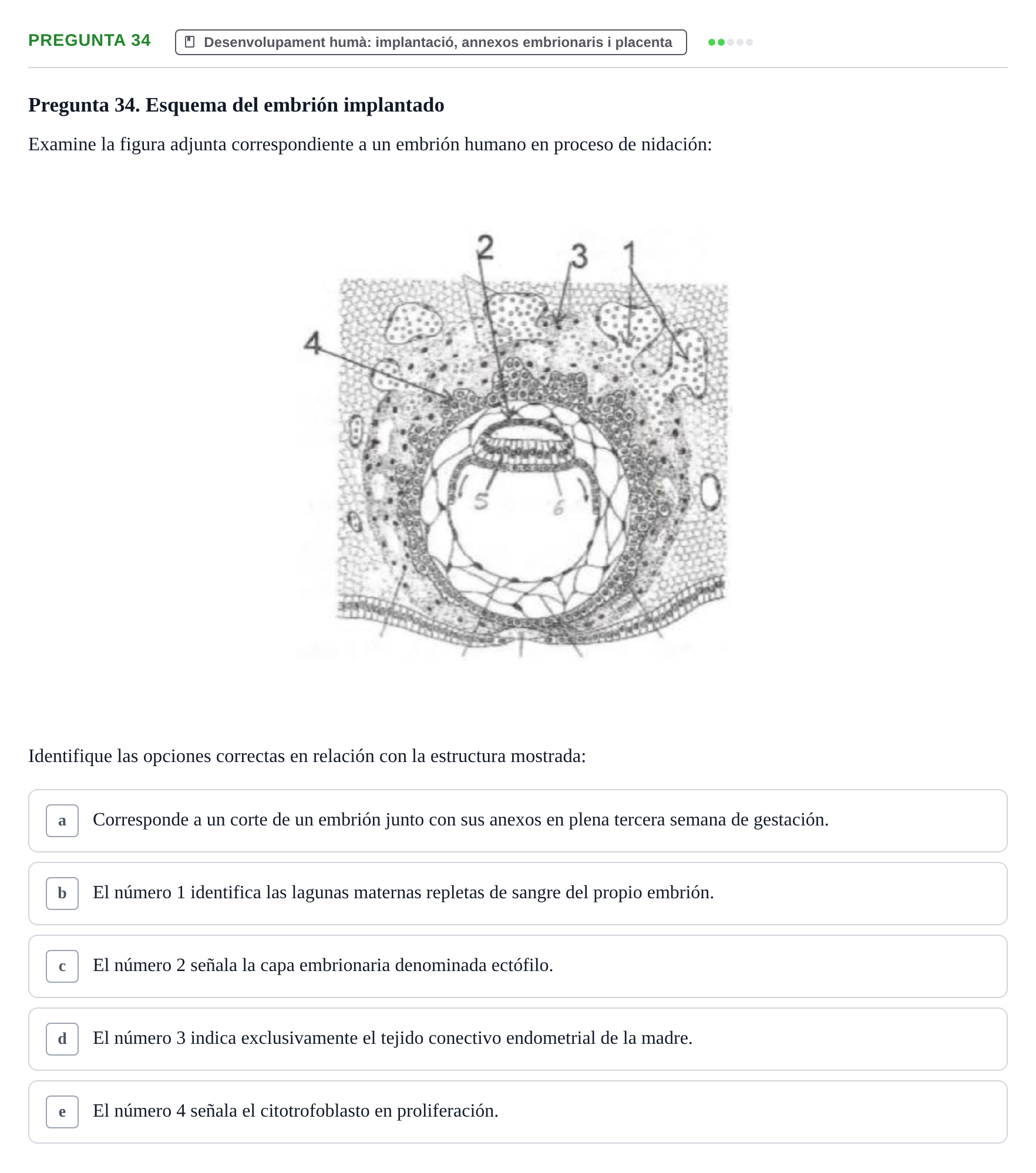Enunciado: Pregunta 34 · Bilogía Celular y del Desarrollo UB 2010