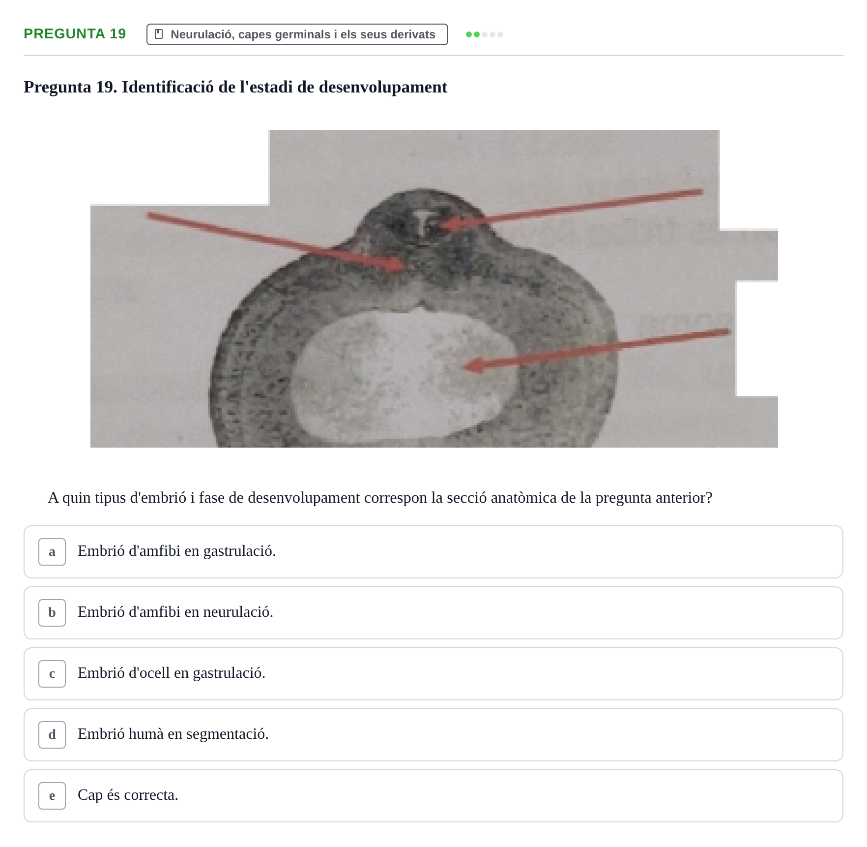 Enunciado: Pregunta 19 · Bilogía Celular y del Desarrollo UB 2018