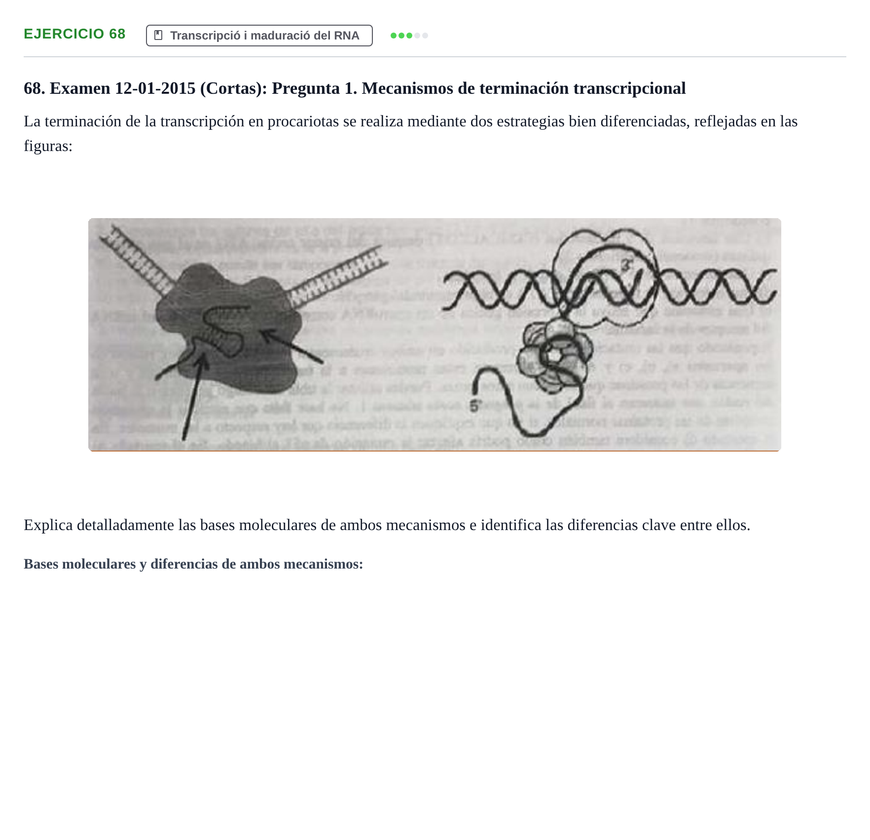 Enunciado: Problema 68 · Bioquímica Estructural i Biologia Molecular UAB 2004
