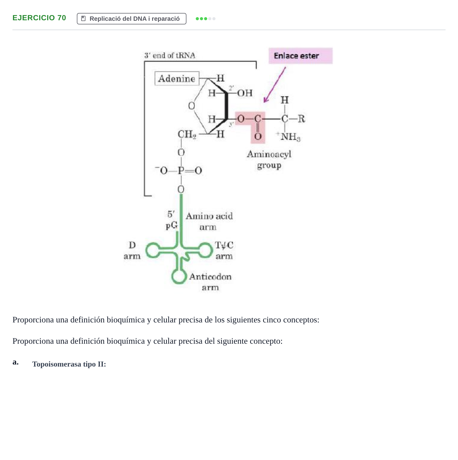 Enunciado: Ejercicio 70 - Replicació · Bioquímica Estructural i Biologia Molecular UAB 2004