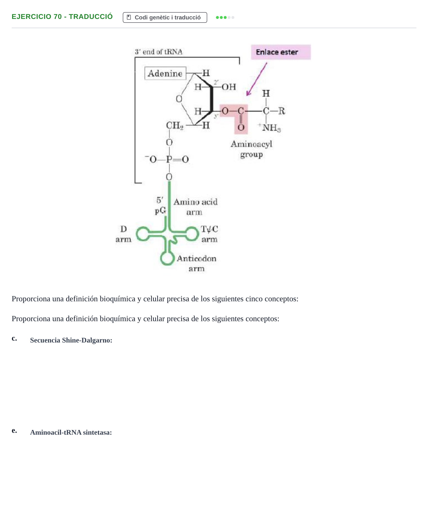 Enunciado: Ejercicio 70 - Traducció · Bioquímica Estructural i Biologia Molecular UAB 2004