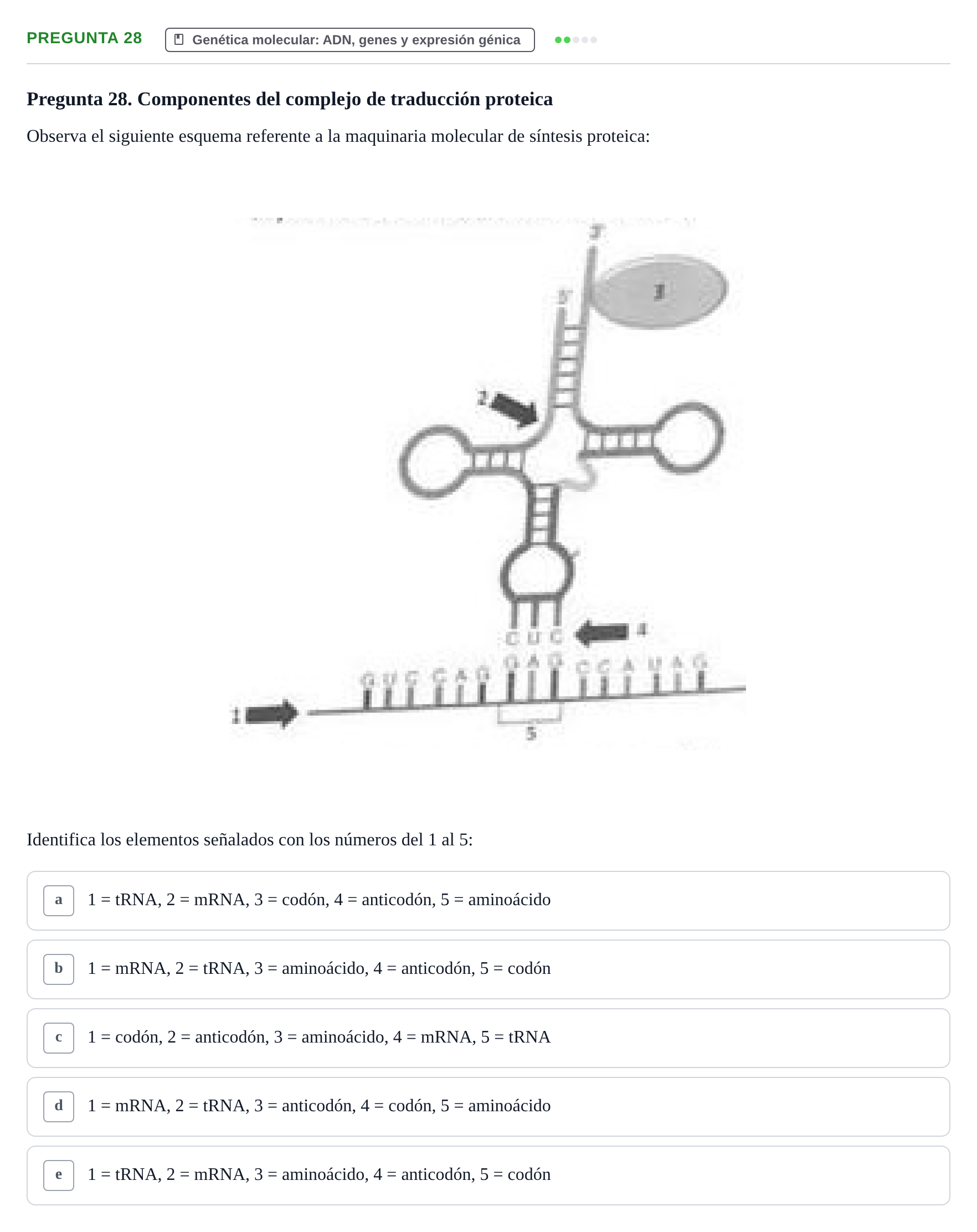 Enunciado: Pregunta 28 · Biología del Cuidado UIC 2018