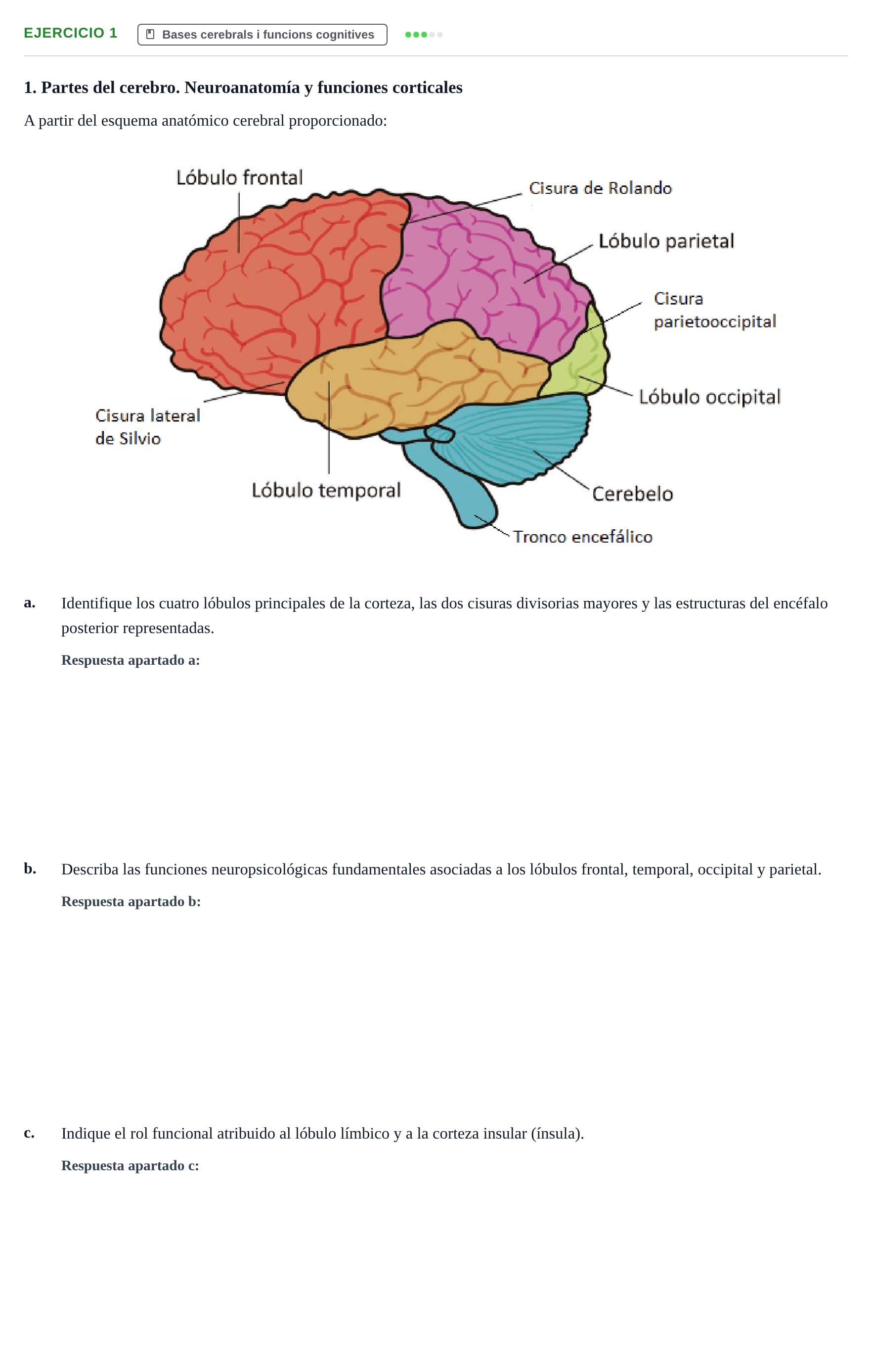 Enunciado: Problema 1 · Psicologia i Cicle Vital UVIC Examen de Repaso: Psicología del Ciclo Vital