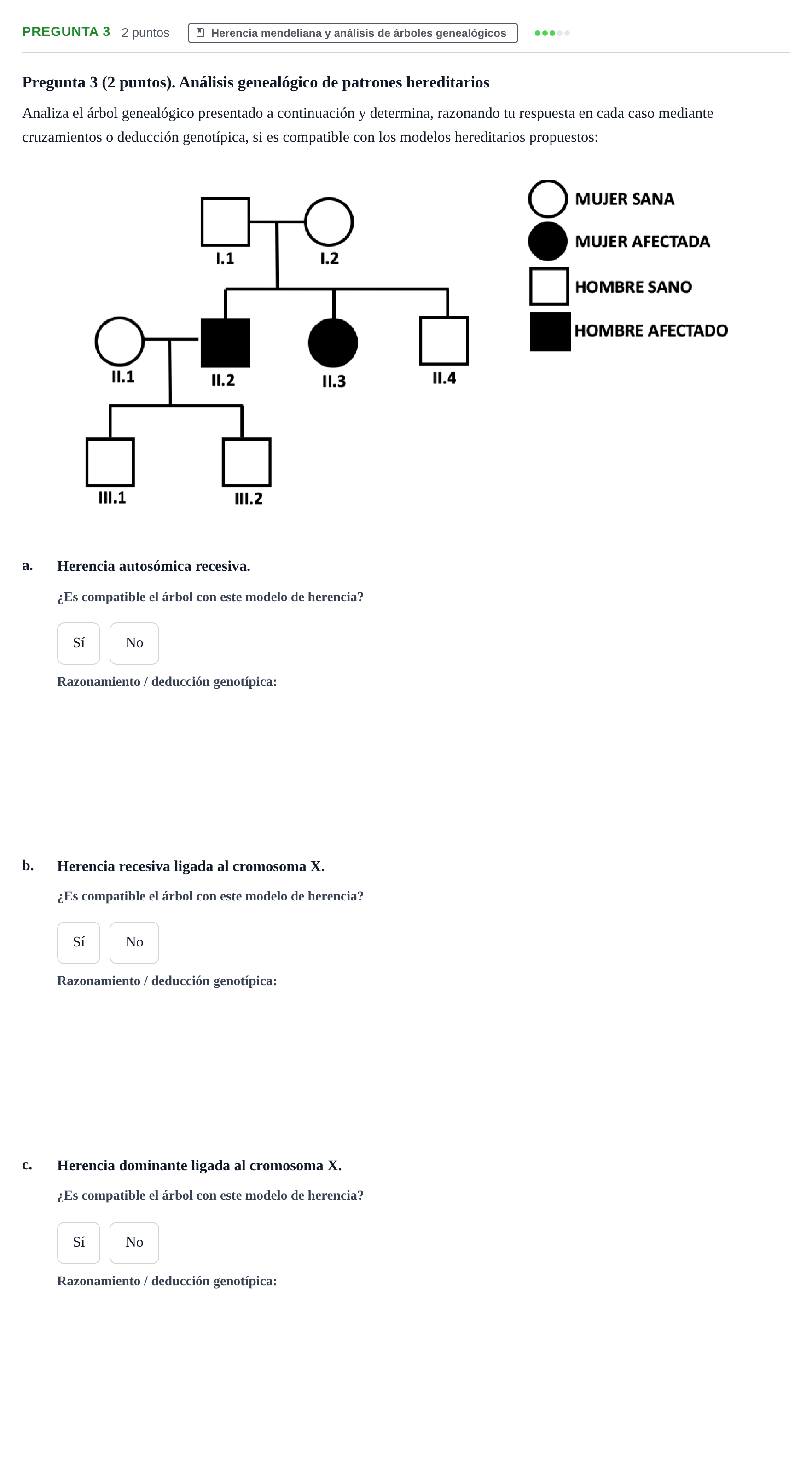 Enunciado: Pregunta 3 · Psicobiologia I UOC 2023