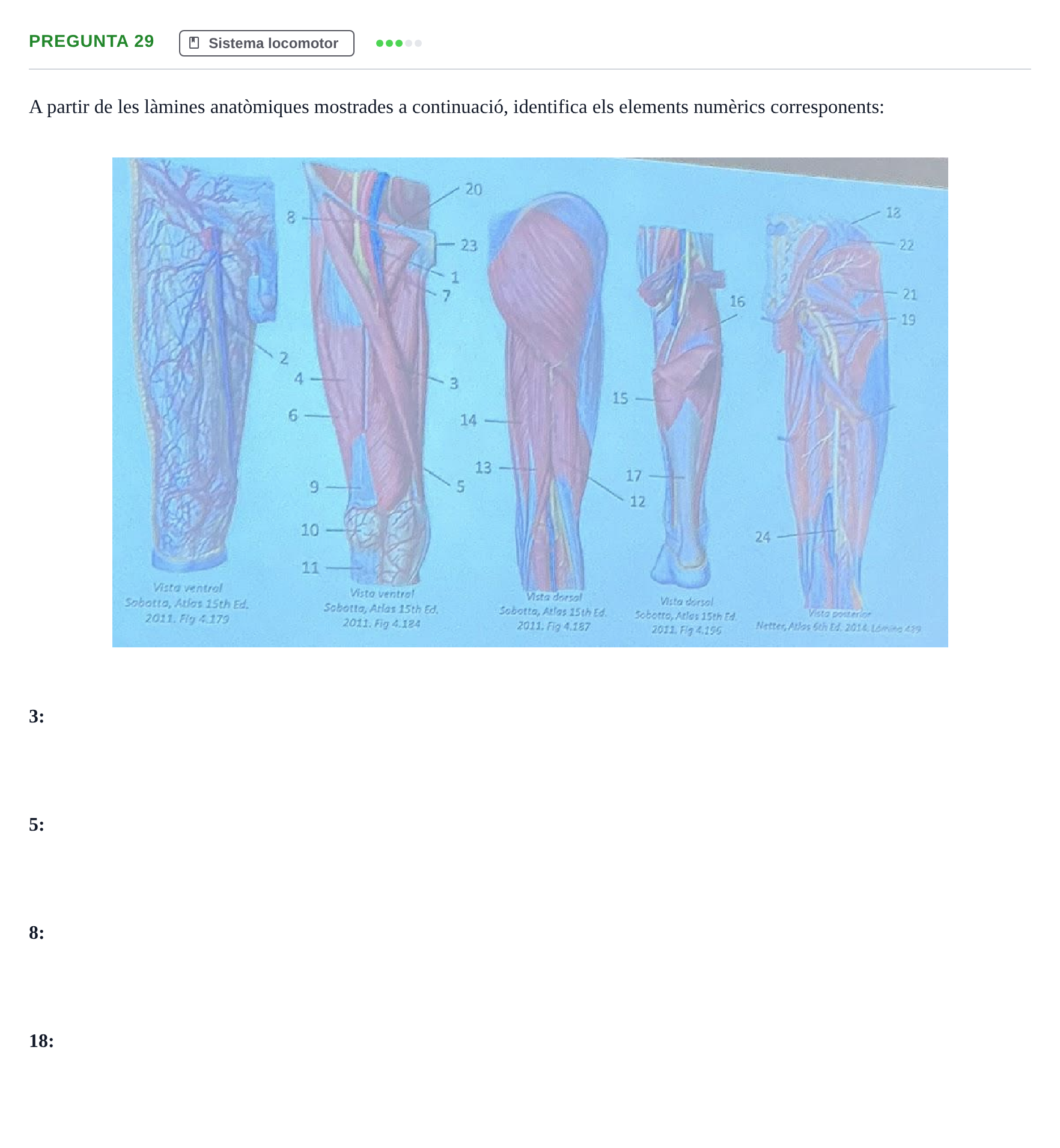 Enunciado: Pregunta 29 · Anatomía Humana UB Examen 1. Anatomia Humana