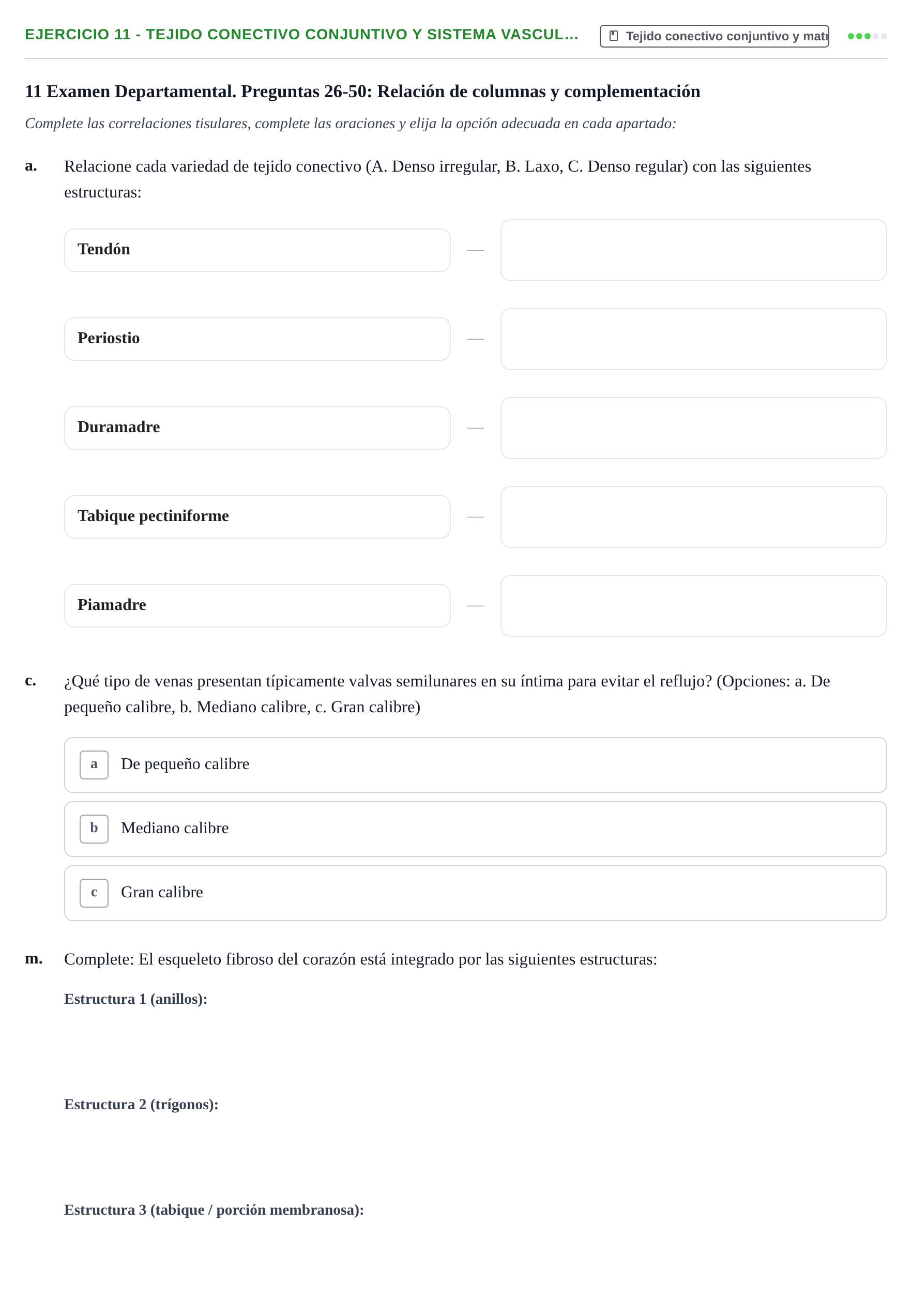 Enunciado: 11 - Tejido conectivo conjuntivo y sistema vascul…