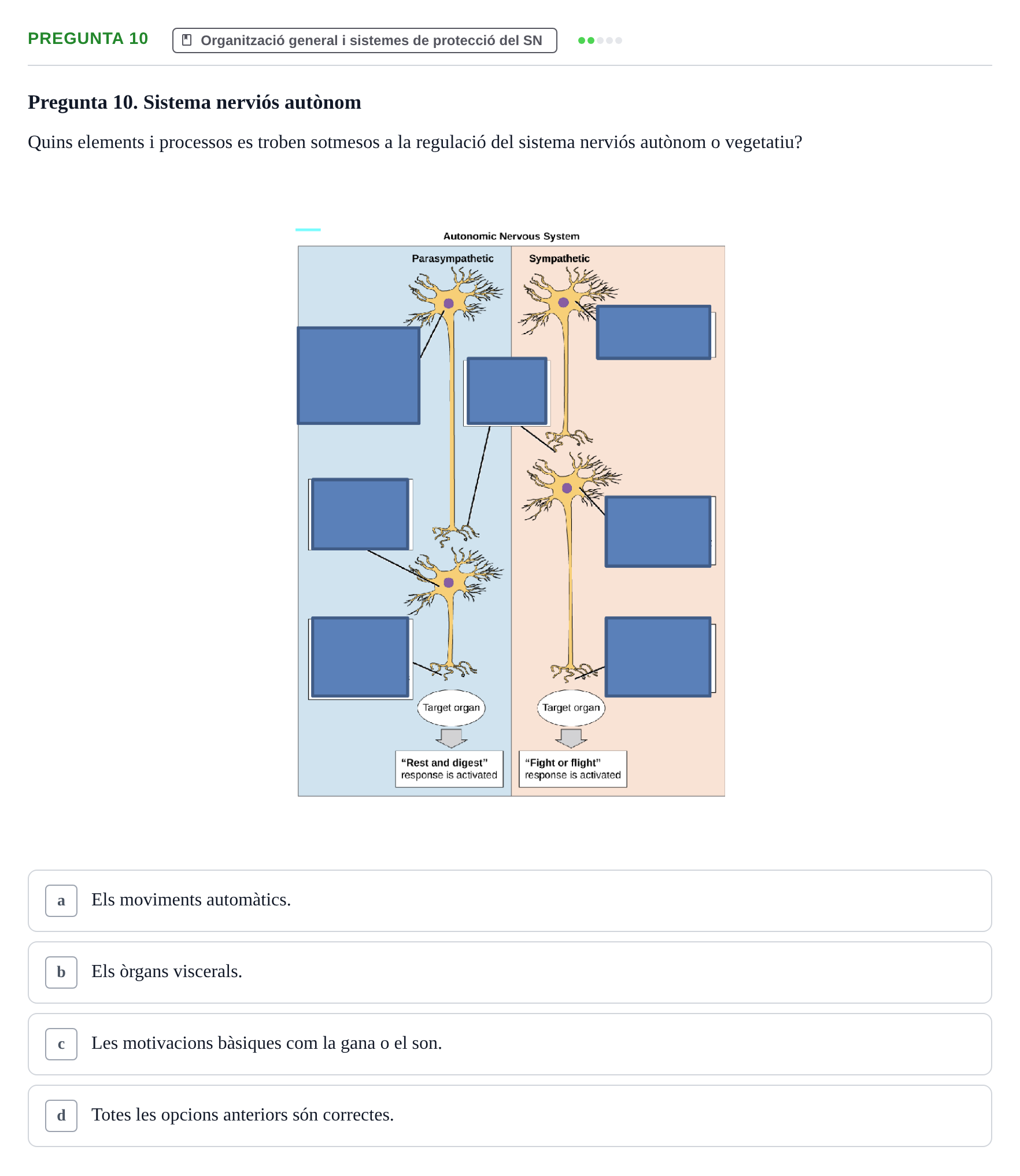 Enunciado: Pregunta 10