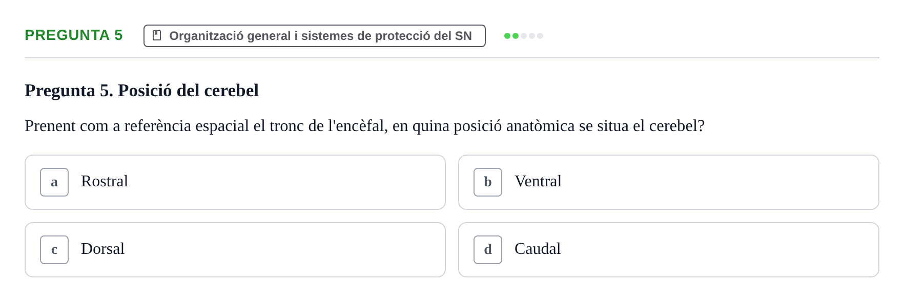 Enunciado: Pregunta 5