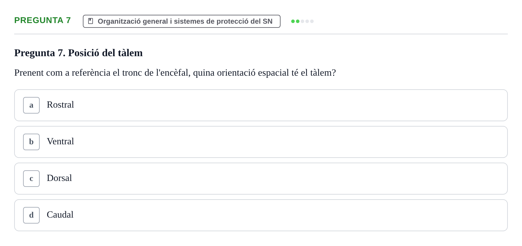 Enunciado: Pregunta 7