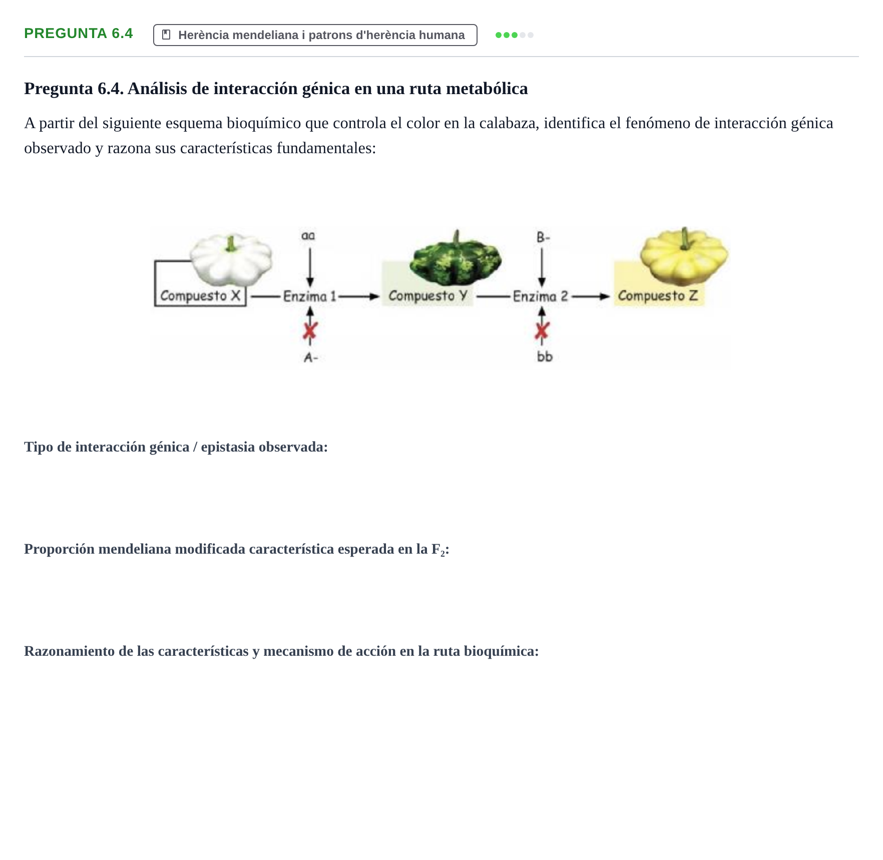 Enunciado: Pregunta 6.4