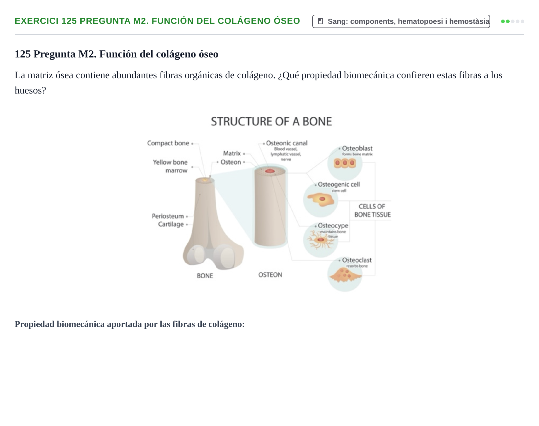 Enunciado: 125 Pregunta M2. Función del colágeno óseo