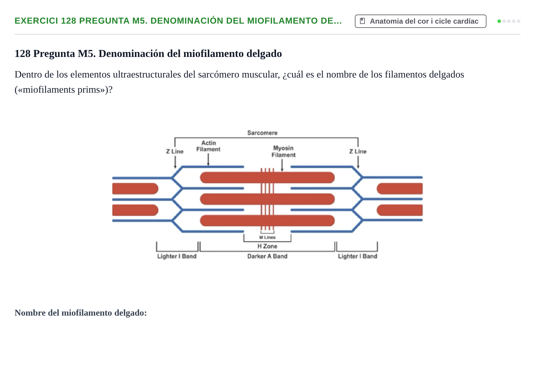 Enunciado: 128 Pregunta M5. Denominación del miofilamento de…