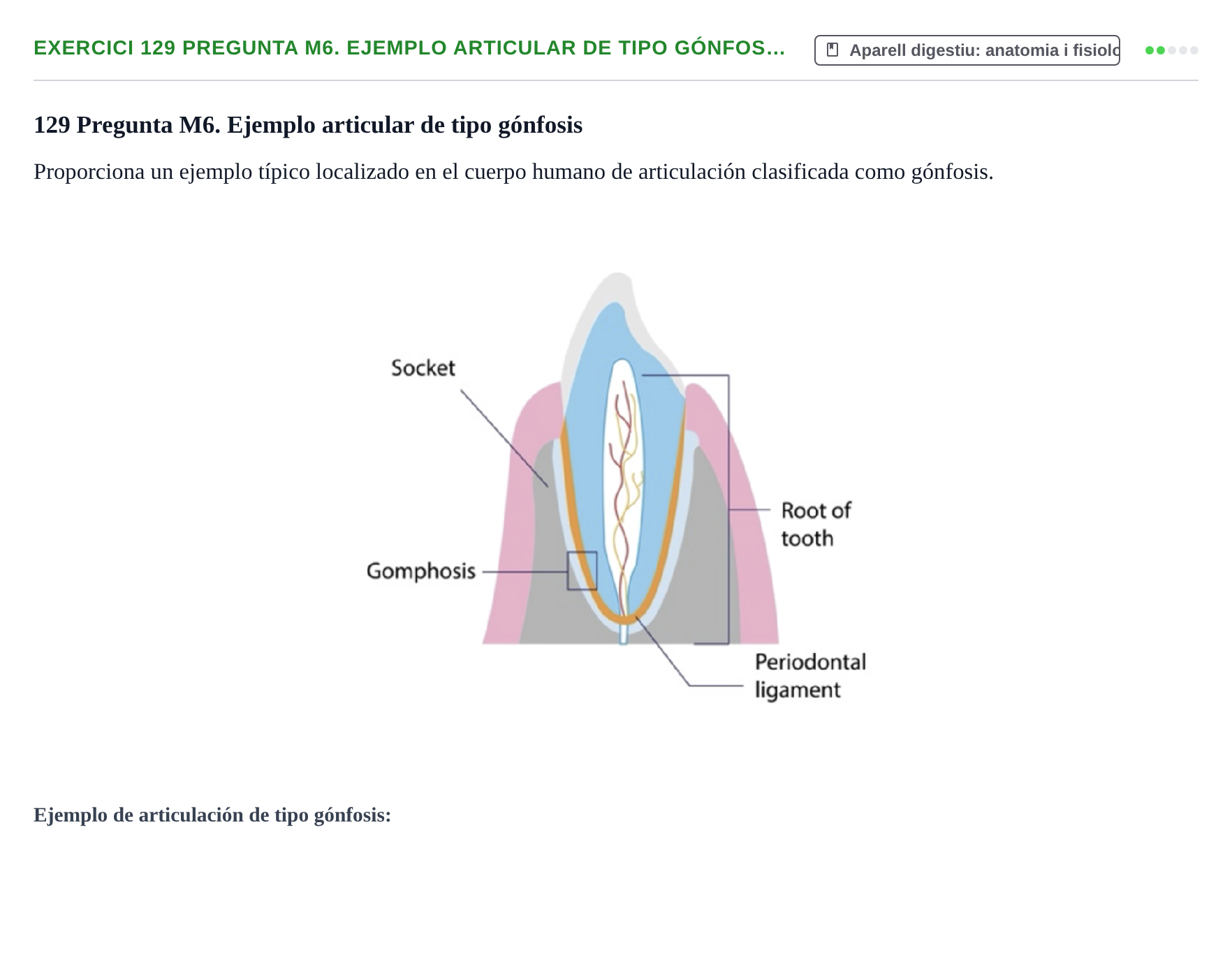 Enunciado: 129 Pregunta M6. Ejemplo articular de tipo gónfos…