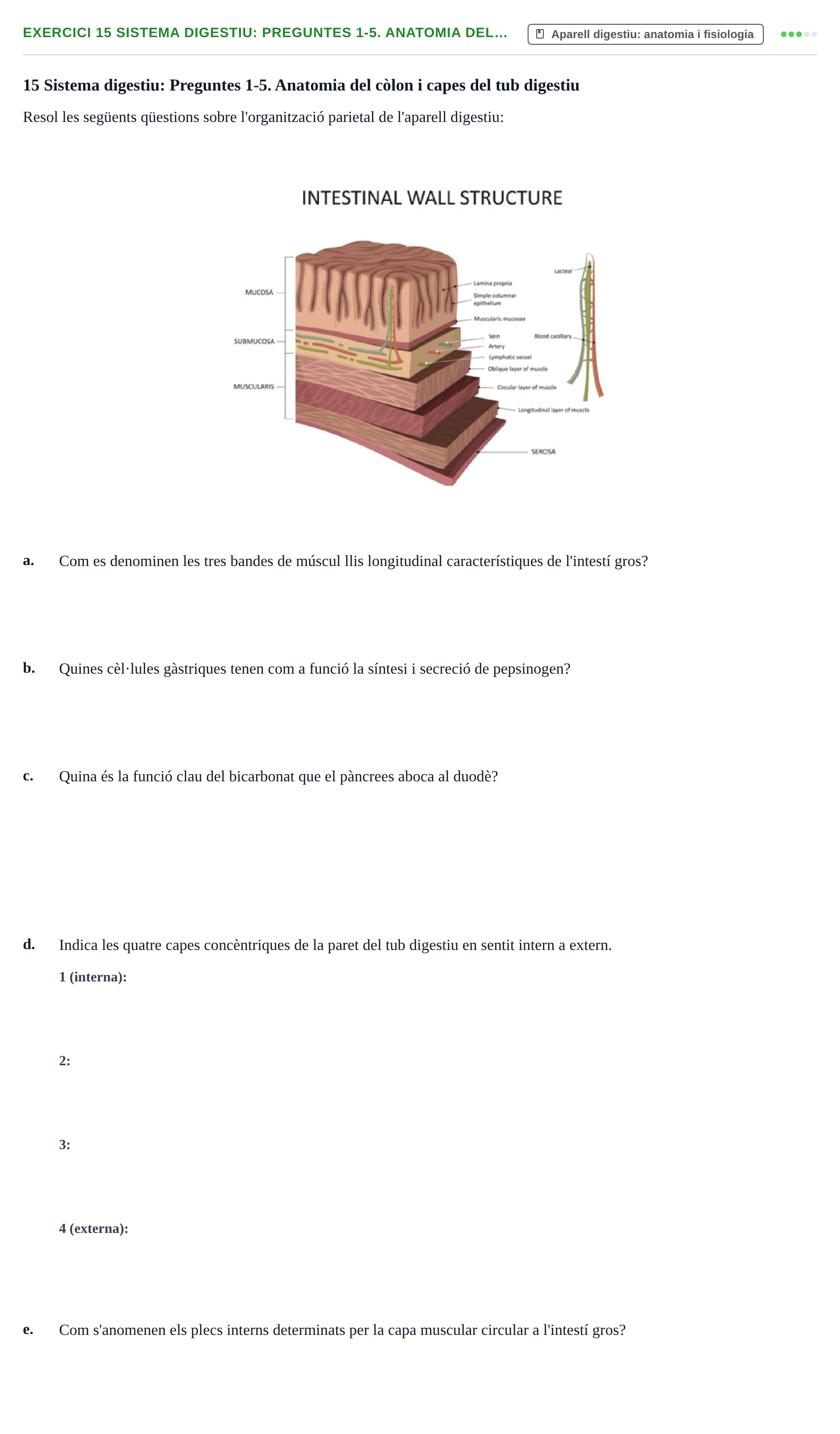 Enunciado: 15 Sistema digestiu: Preguntes 1-5. Anatomia del…