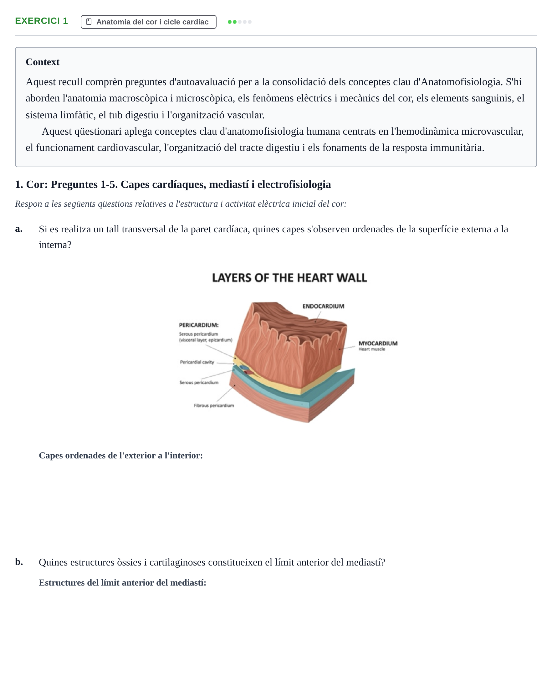 Enunciado: 1 - Anatomia del cor i cicle cardíac