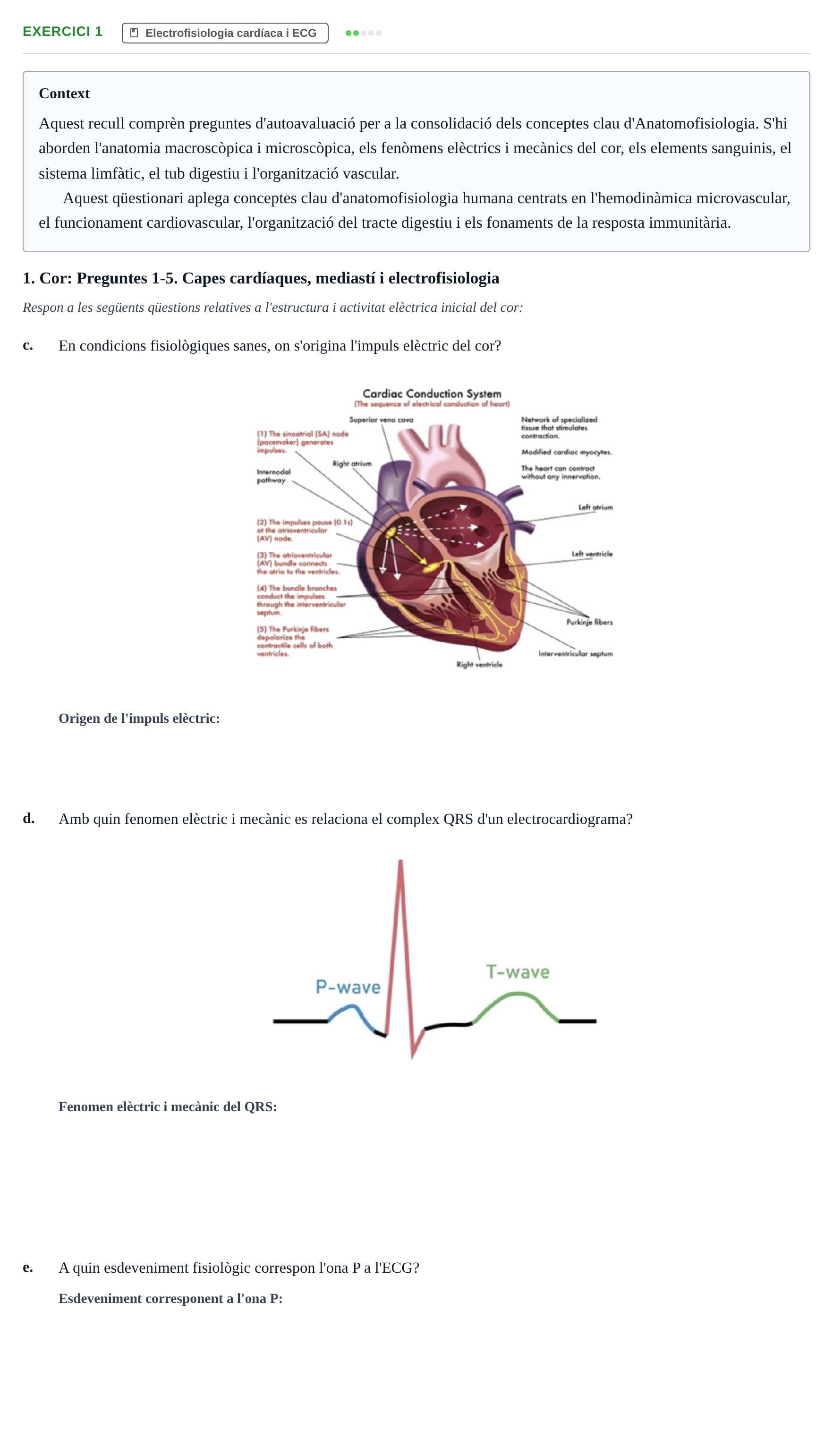 Enunciado: 1 - Electrofisiologia cardíaca i ECG