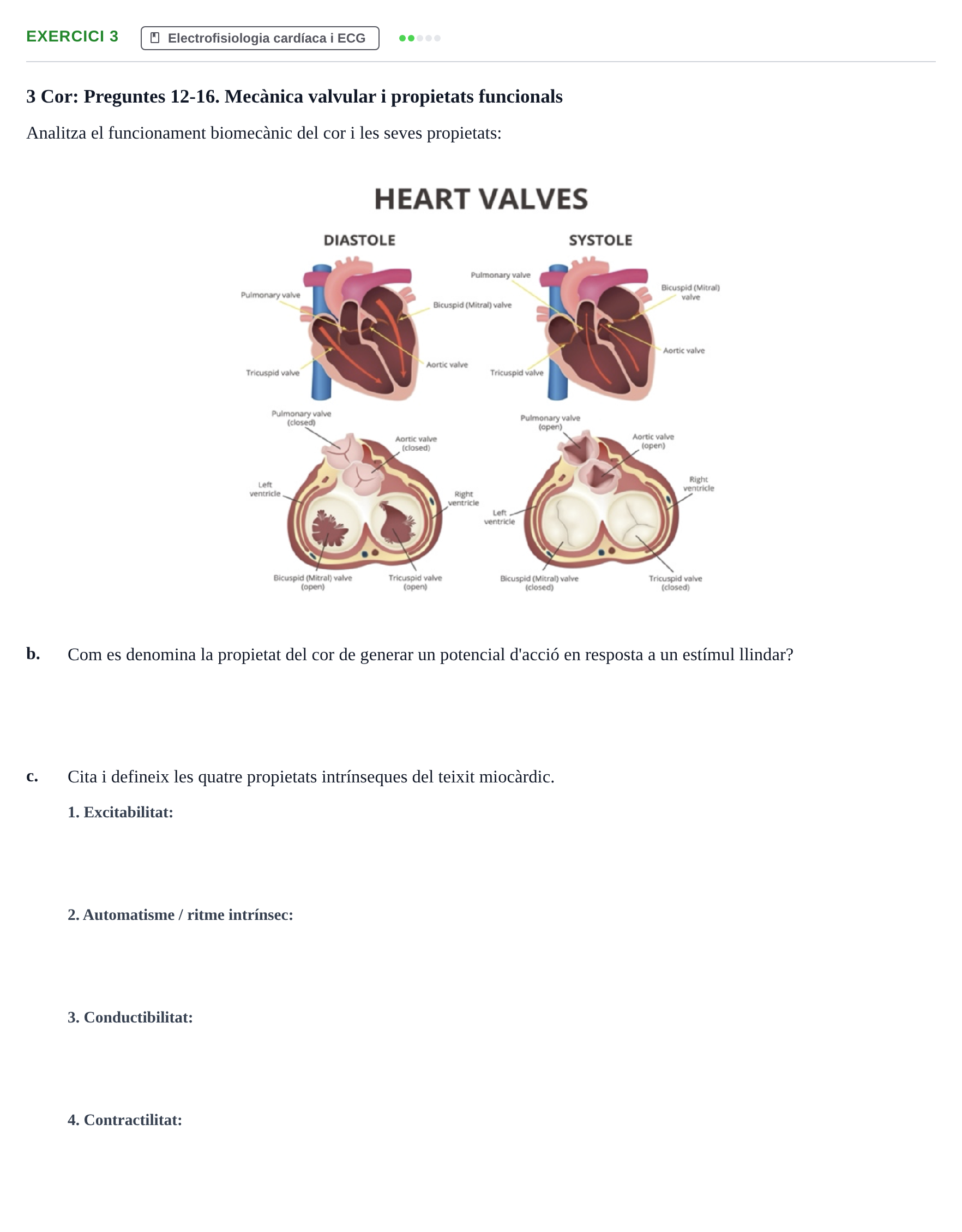 Enunciado: 3 - Electrofisiologia cardíaca i ECG