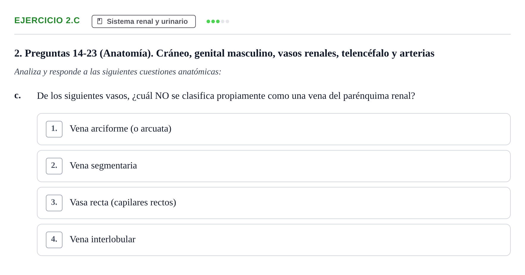 Enunciado: 2.c - Sistema renal y urinario