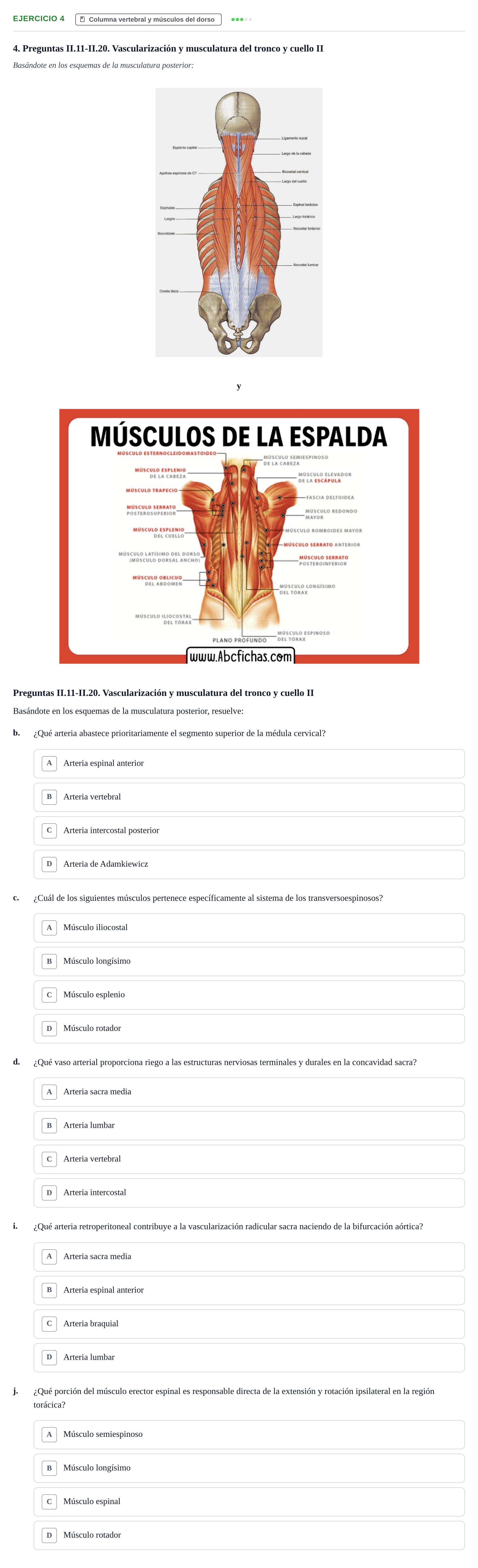 Enunciado: 4 - Columna vertebral y músculos del dorso