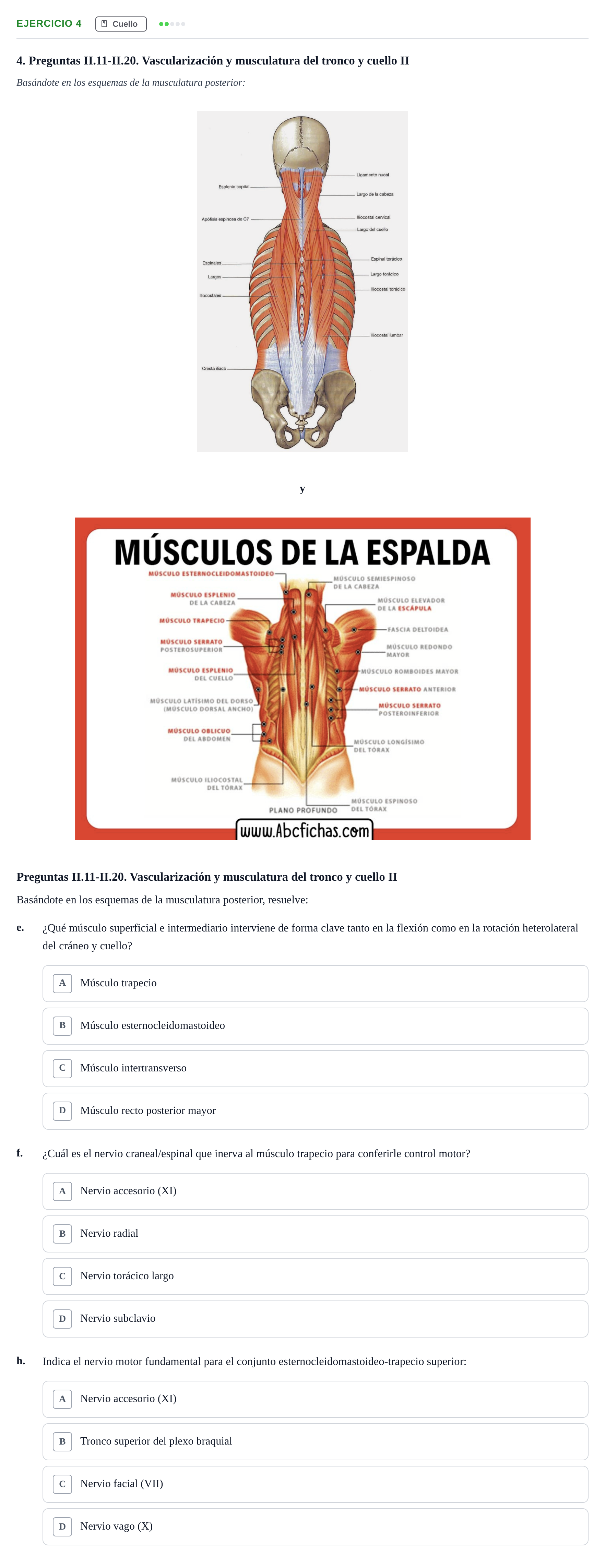Enunciado: 4 - Cuello