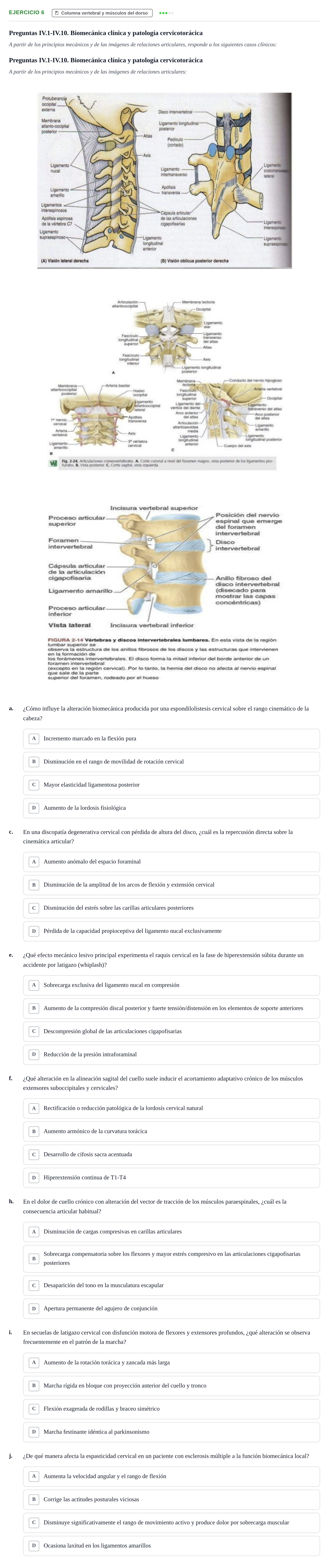 Enunciado: 6 - Columna vertebral y músculos del dorso