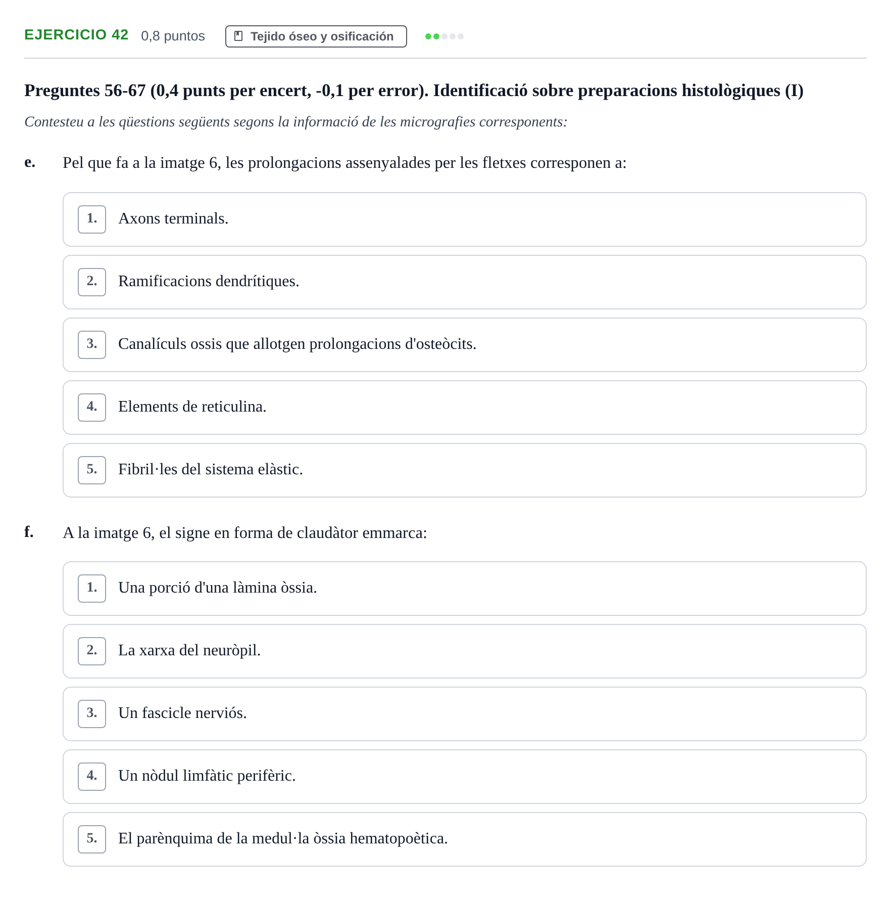 Enunciado: Ejercicio 42 - Tejido óseo y osificación · Histología UAB 2022