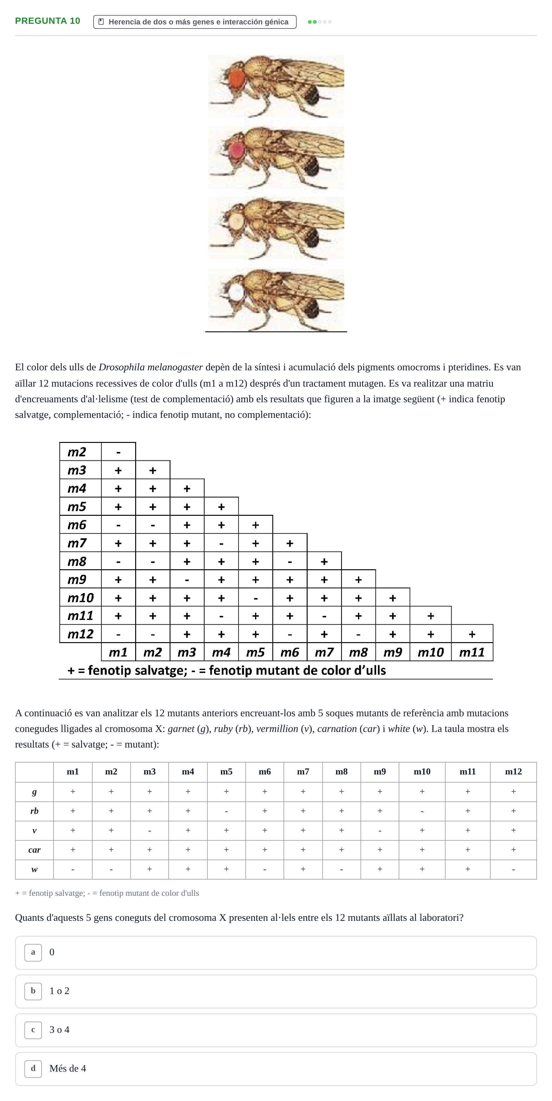 Enunciado: Pregunta 10 · Genética UAB 2015