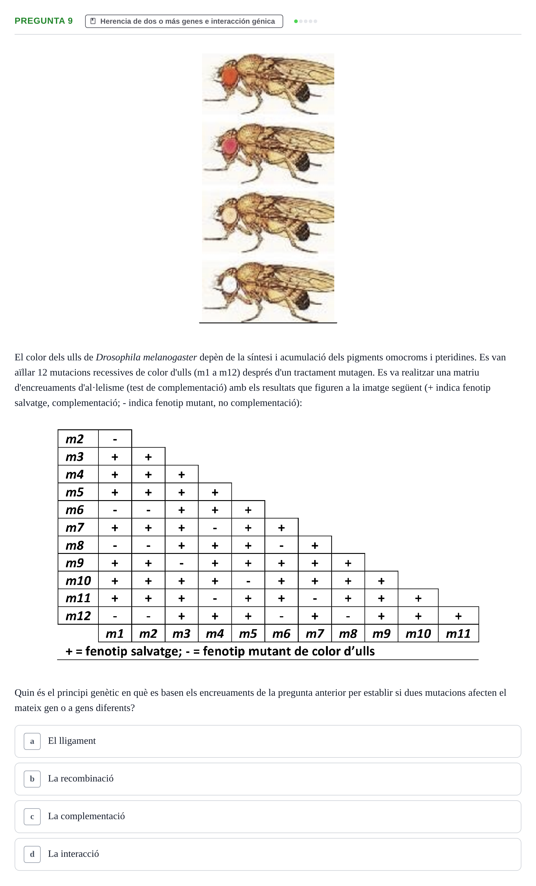 Enunciado: Pregunta 9 · Genética UAB 2015