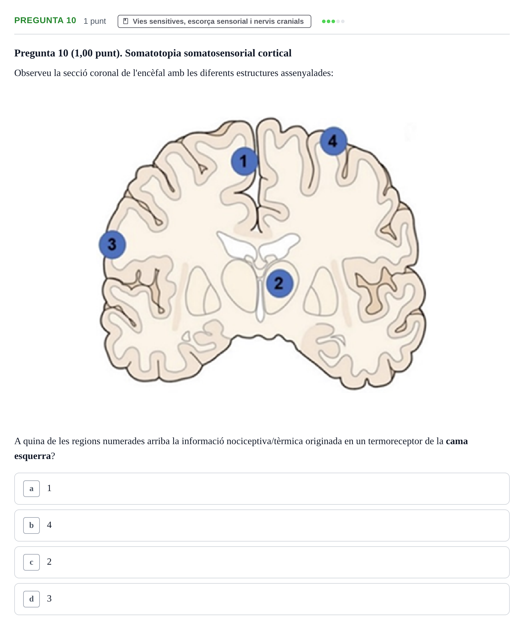 Enunciado: Pregunta 10 · Estructura i Funció del Cos Humà III UVIC 2022
