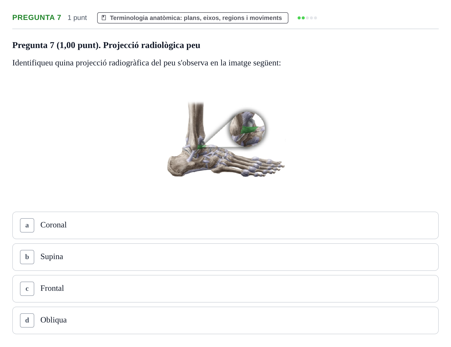 Enunciado: Pregunta 7 · Estructura i Funció del Cos Humà I UVIC 2024