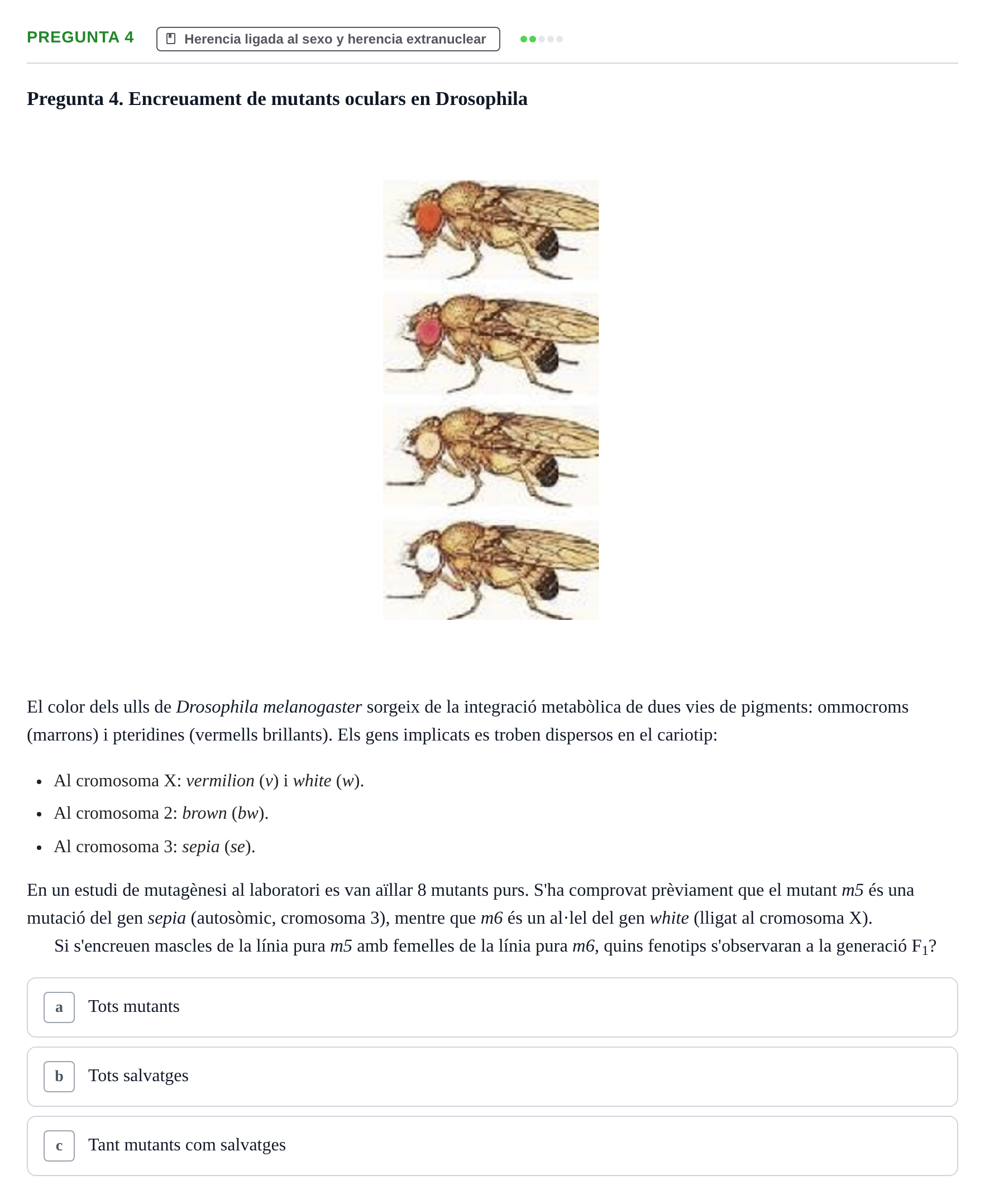 Enunciado: Pregunta 4 · Genética UAB 2016