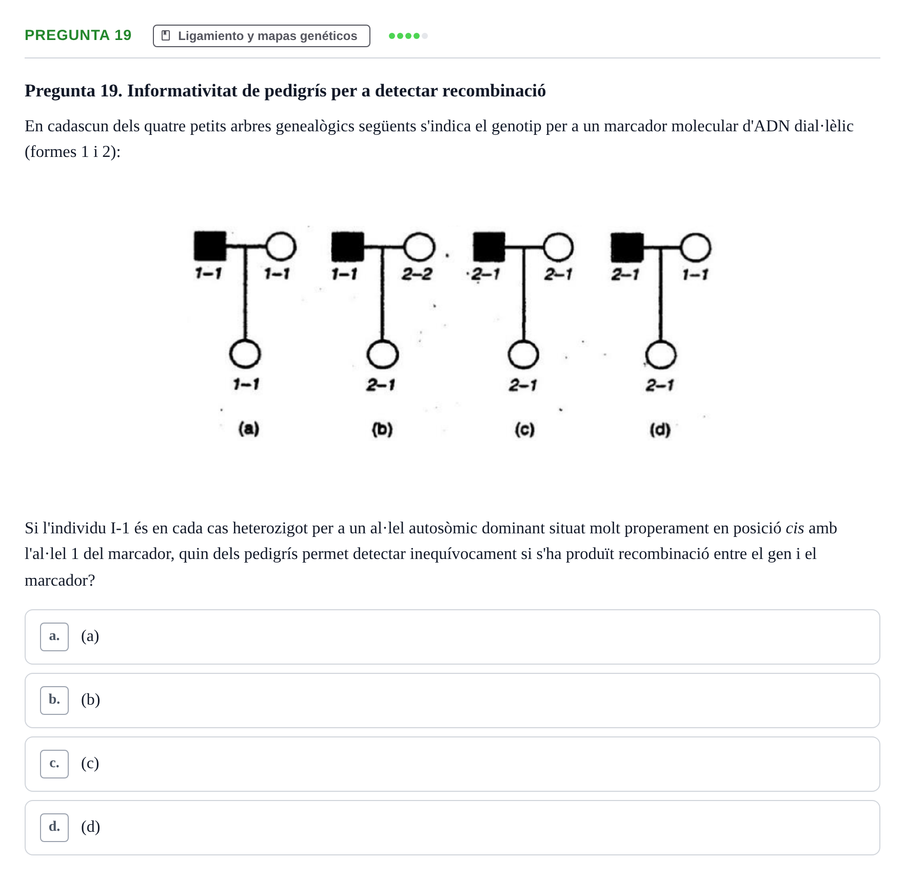 Enunciado: Pregunta 19 · Genética UAB 2022