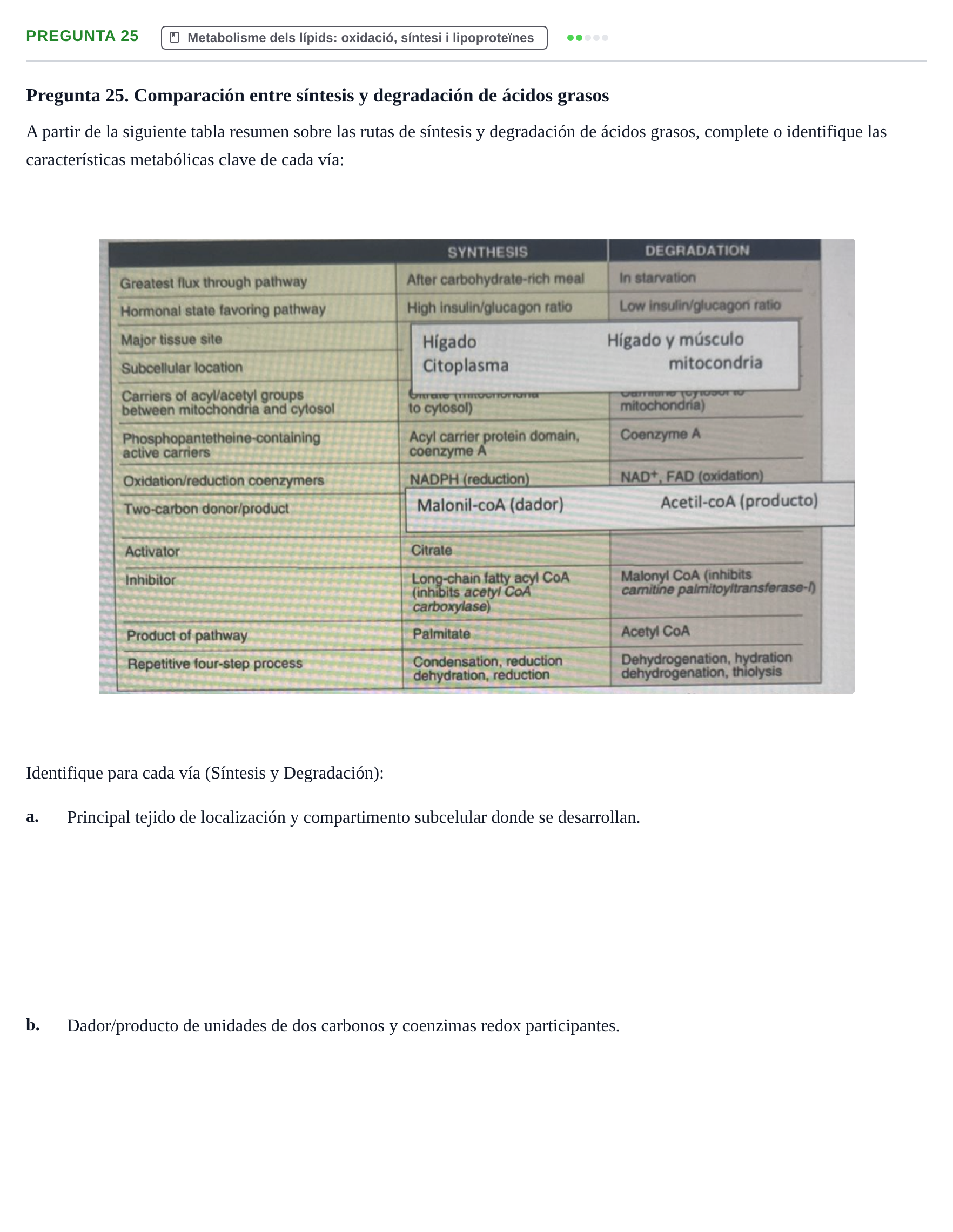 Enunciado: Pregunta 25 · Bioquímica UDL Examen de Bioquímica: Bloque 3