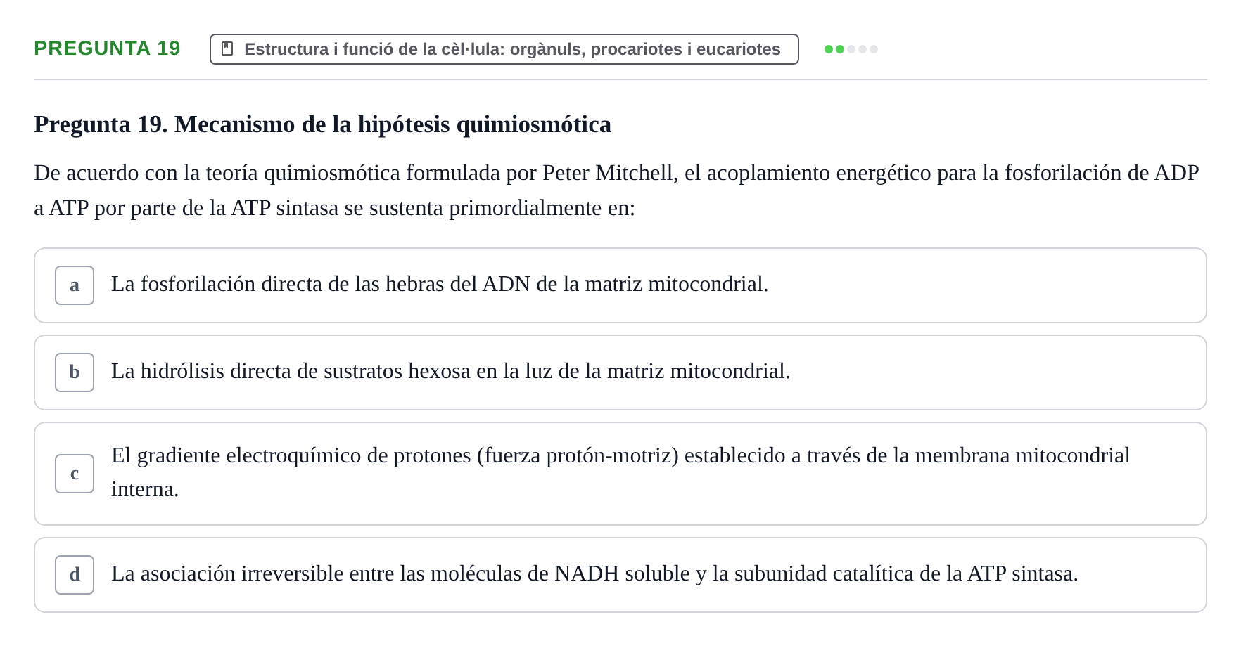 Enunciado: Pregunta 19