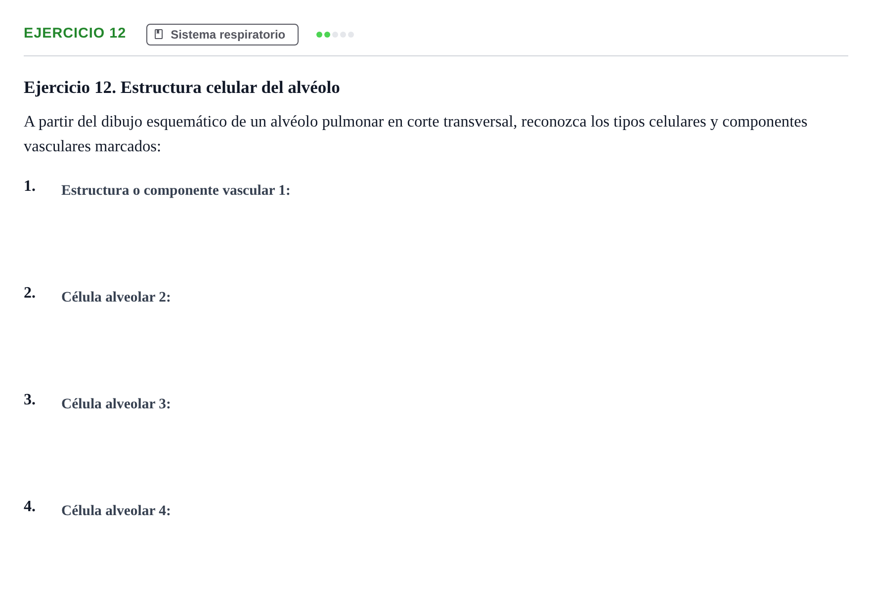 Enunciado: Ejercicio 12