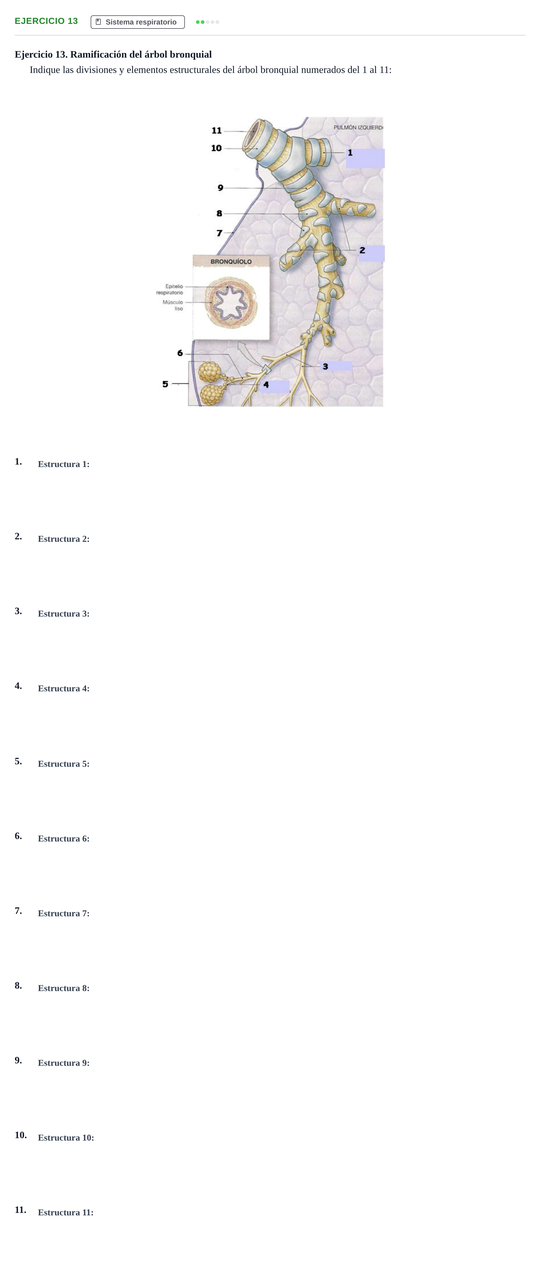 Enunciado: Ejercicio 13