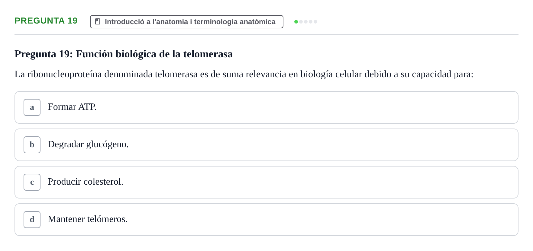 Enunciado: Pregunta 19
