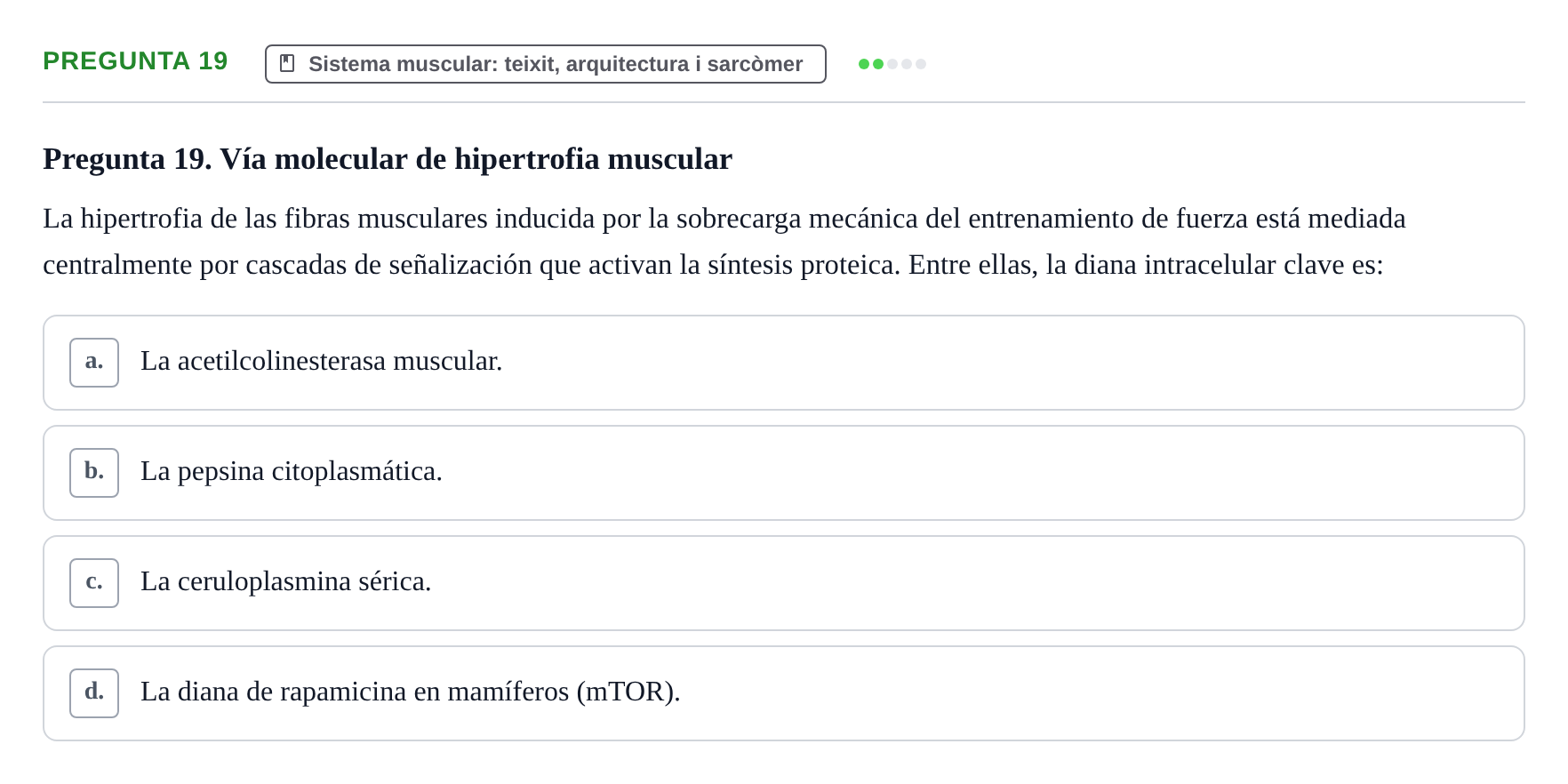 Enunciado: Pregunta 19