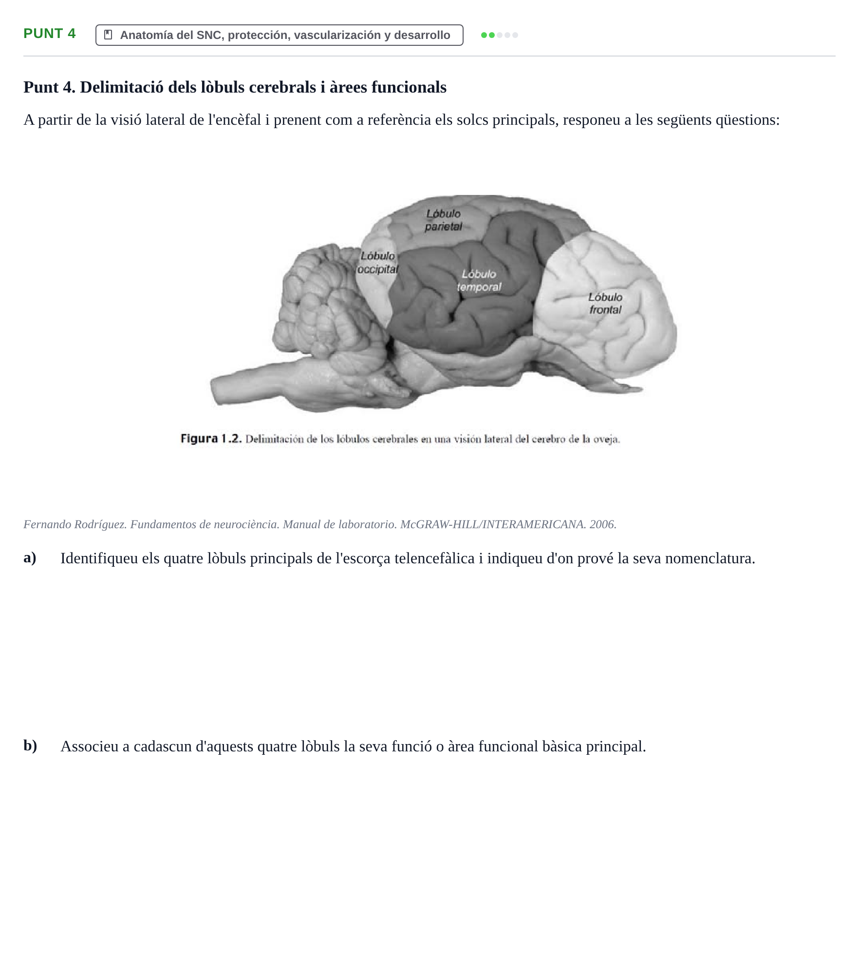 Enunciado: Punt 4