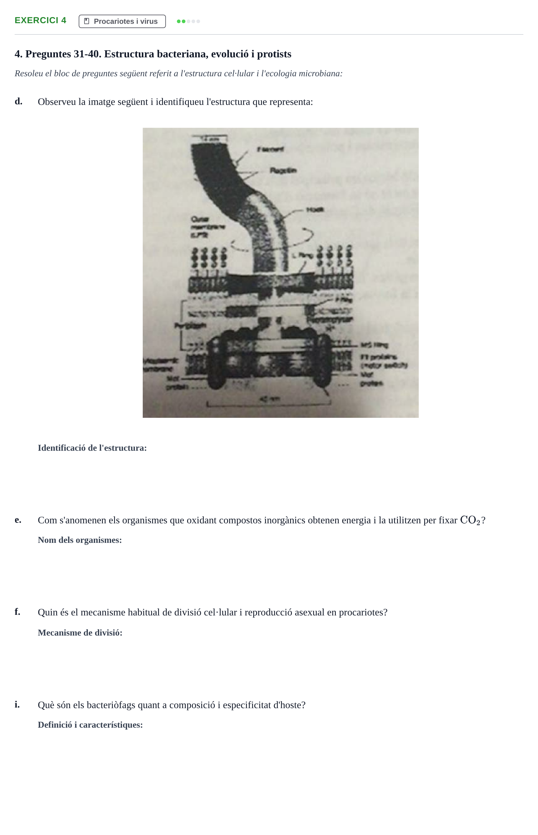 Enunciado: Ejercicio 4 - Procariotes i virus · Biología URV Examen: Part 2 - Procariotes, Fongs i Origen de la Vida